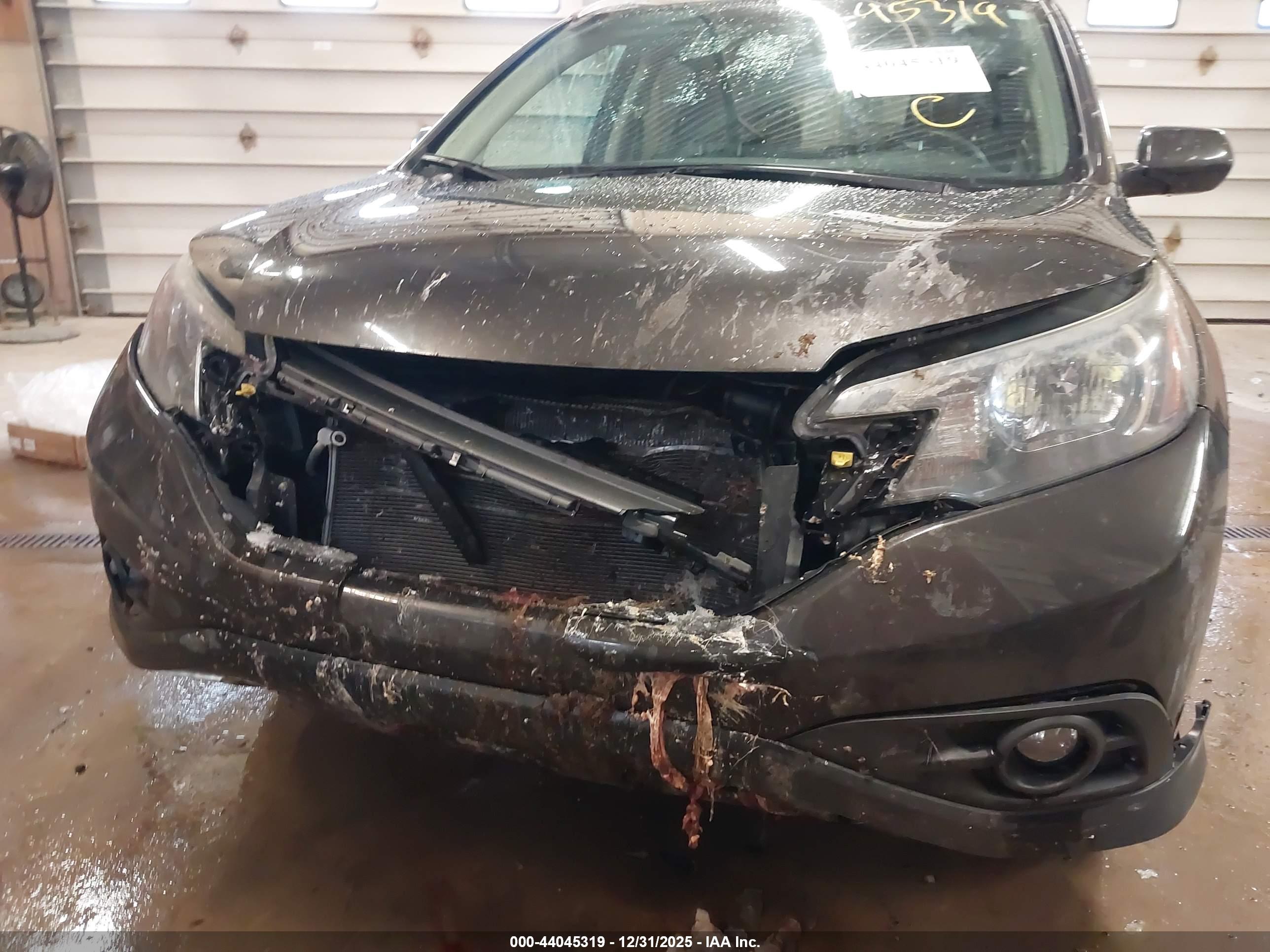 HONDA CR-V image 6