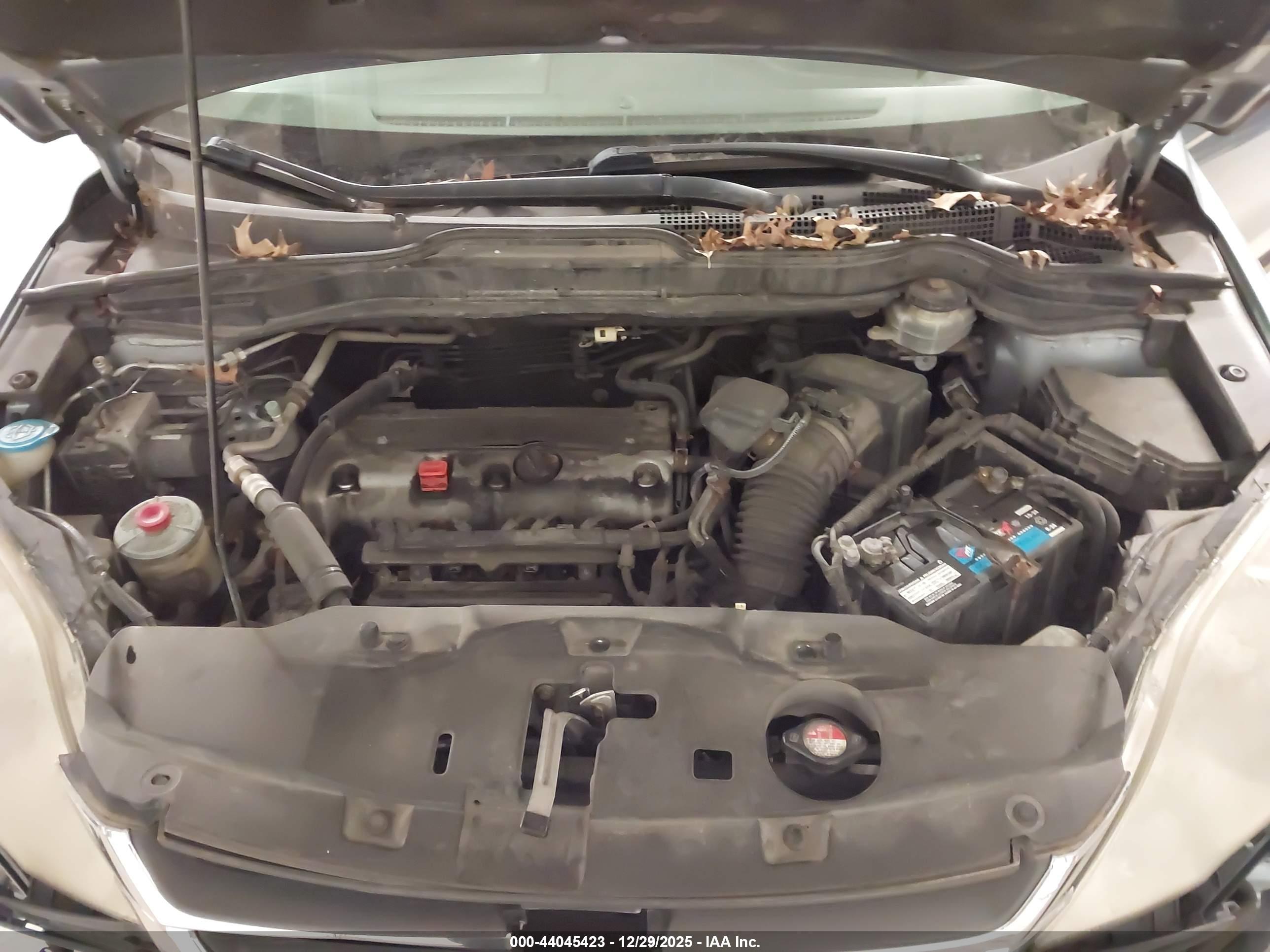 HONDA CR-V image 10
