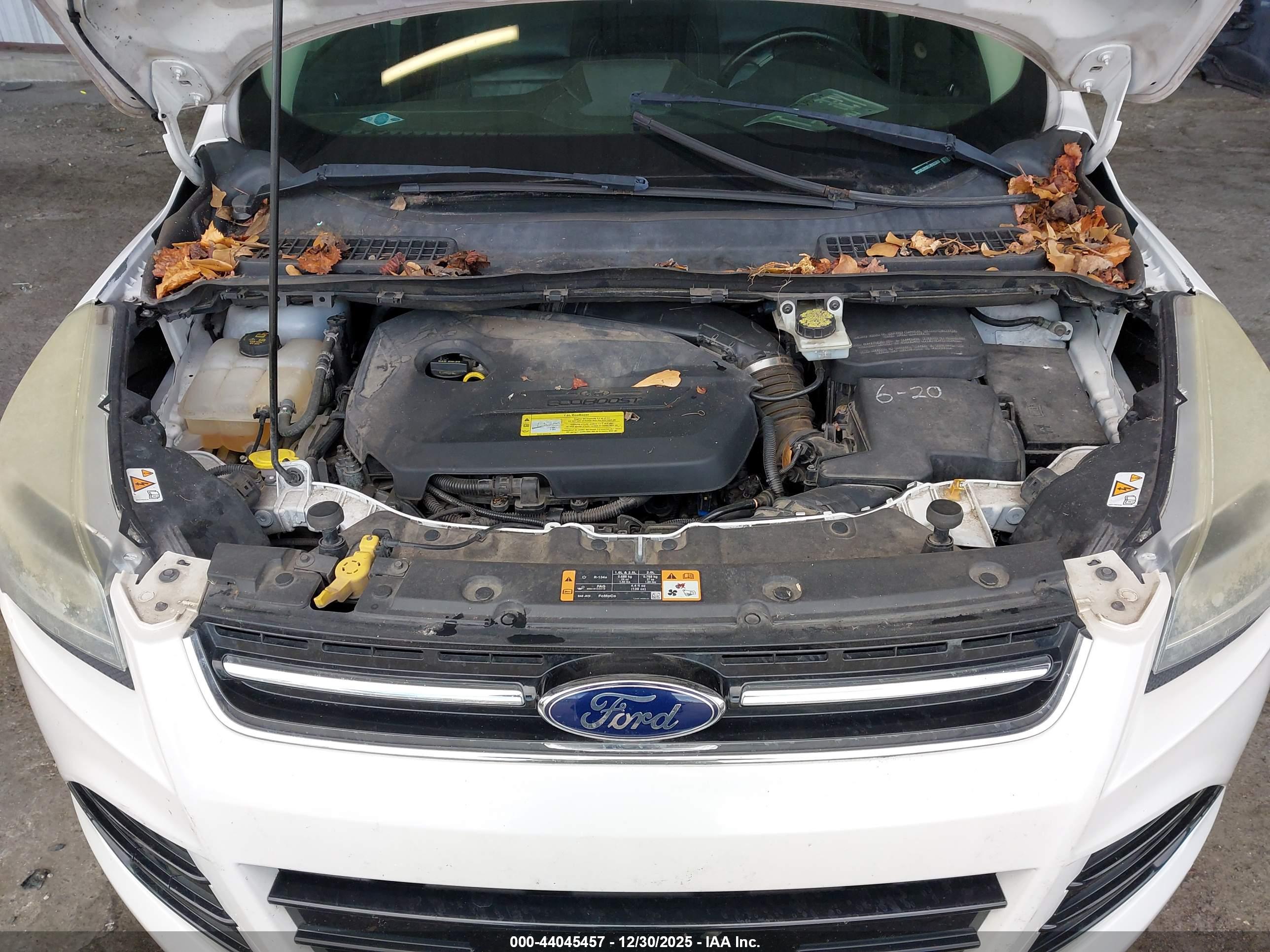 FORD ESCAPE image 10