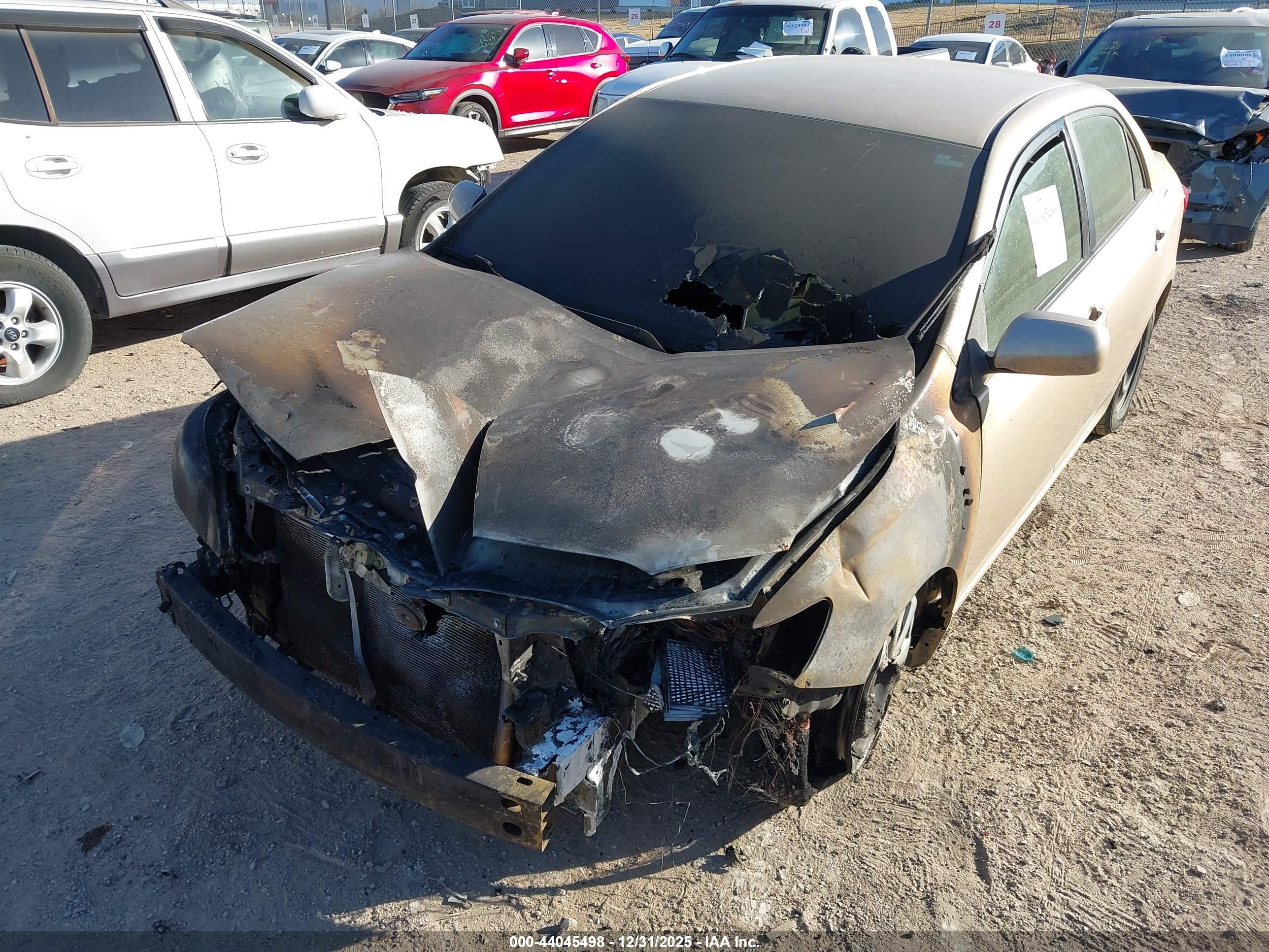 TOYOTA COROLLA image 6
