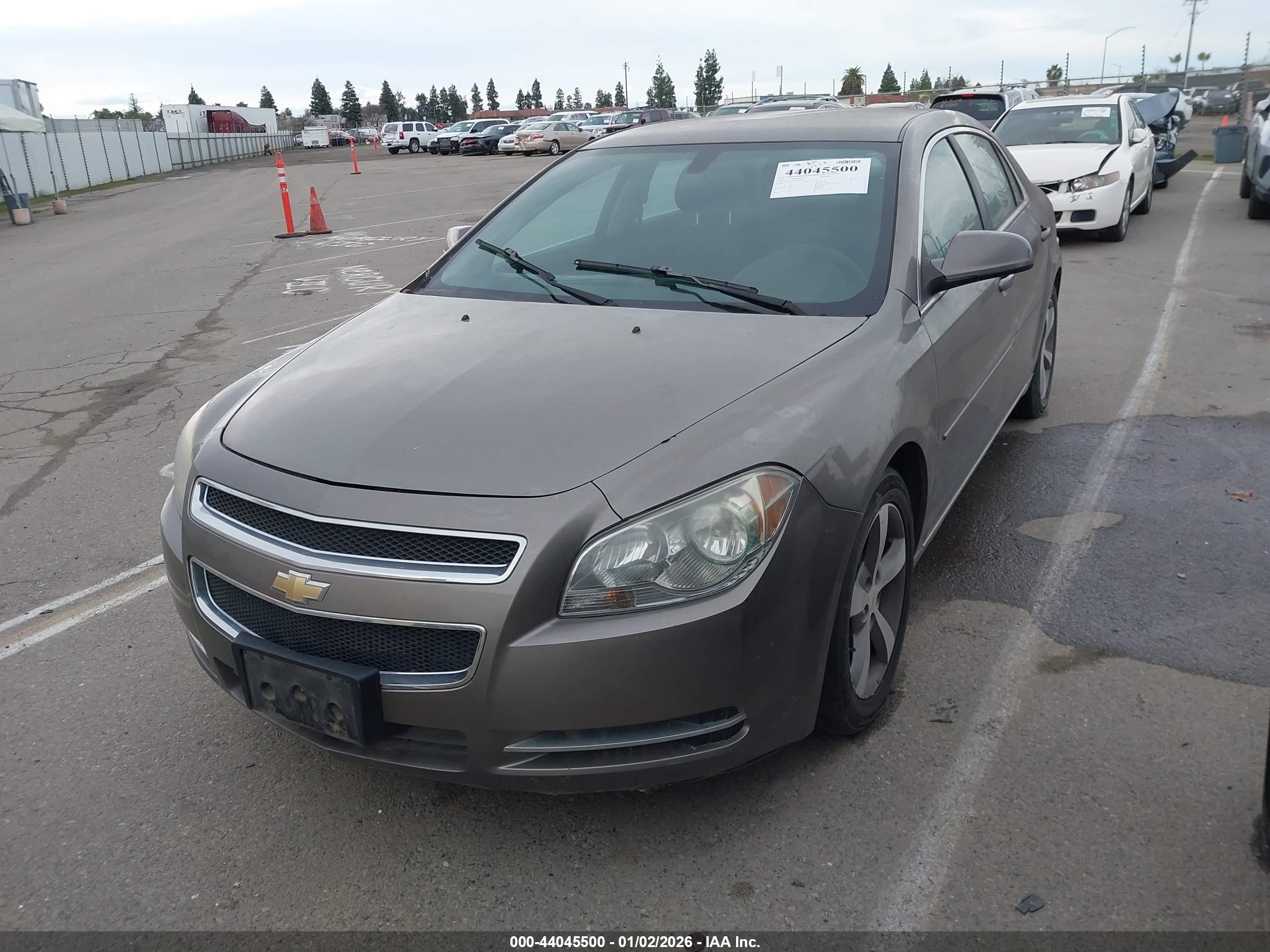 CHEVROLET MALIBU image 2