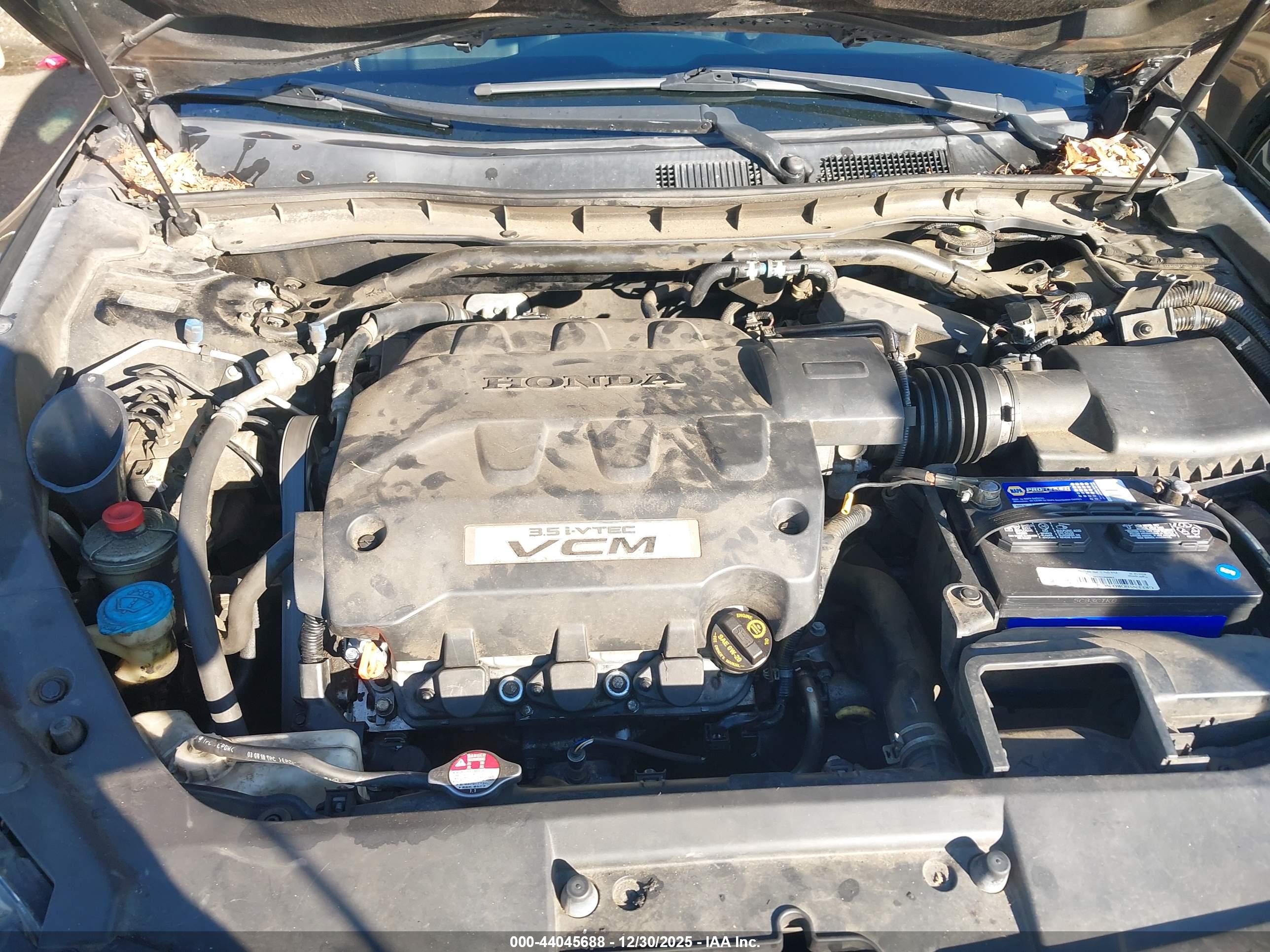 HONDA ACCORD image 10