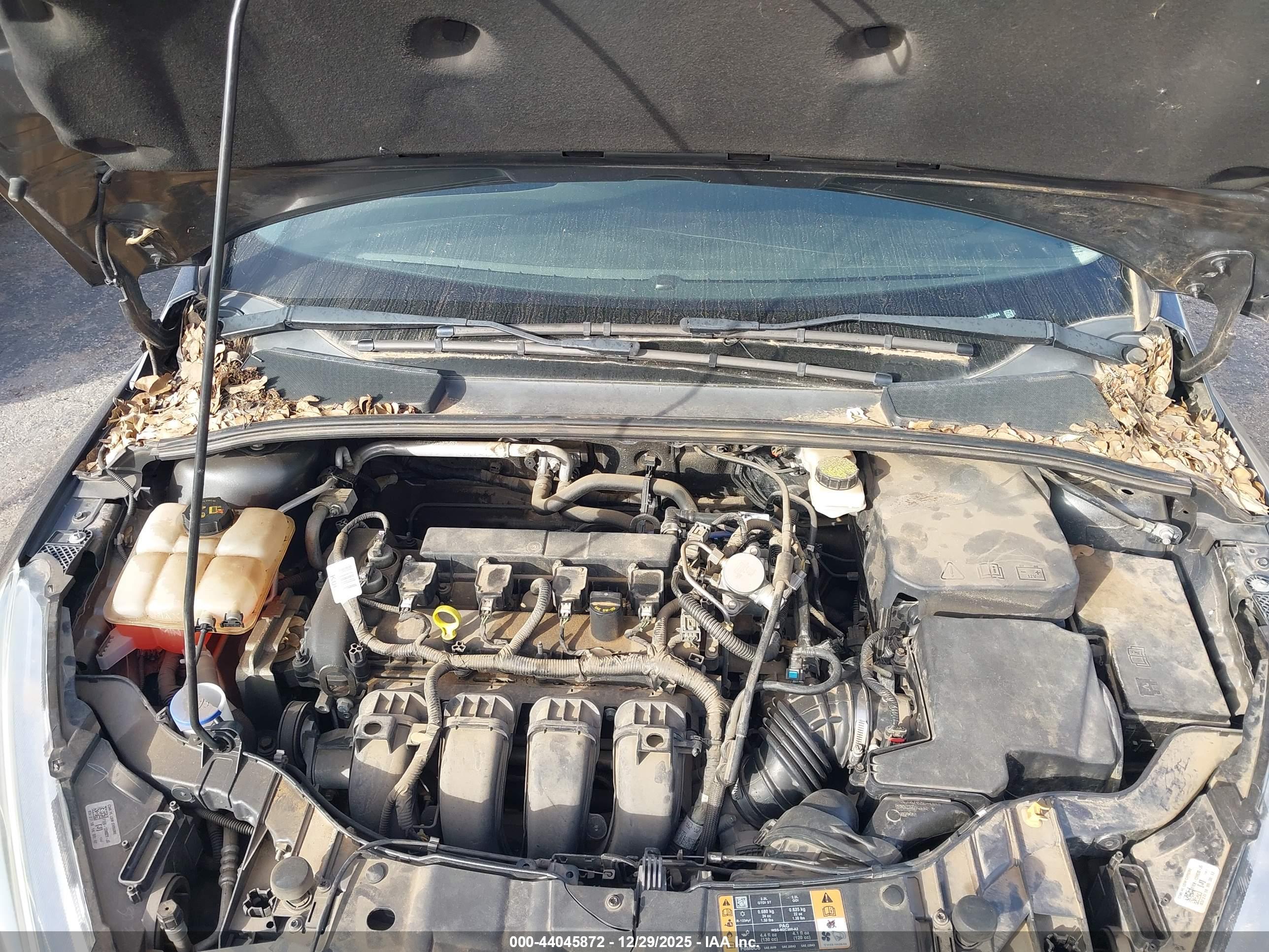 FORD FOCUS image 10