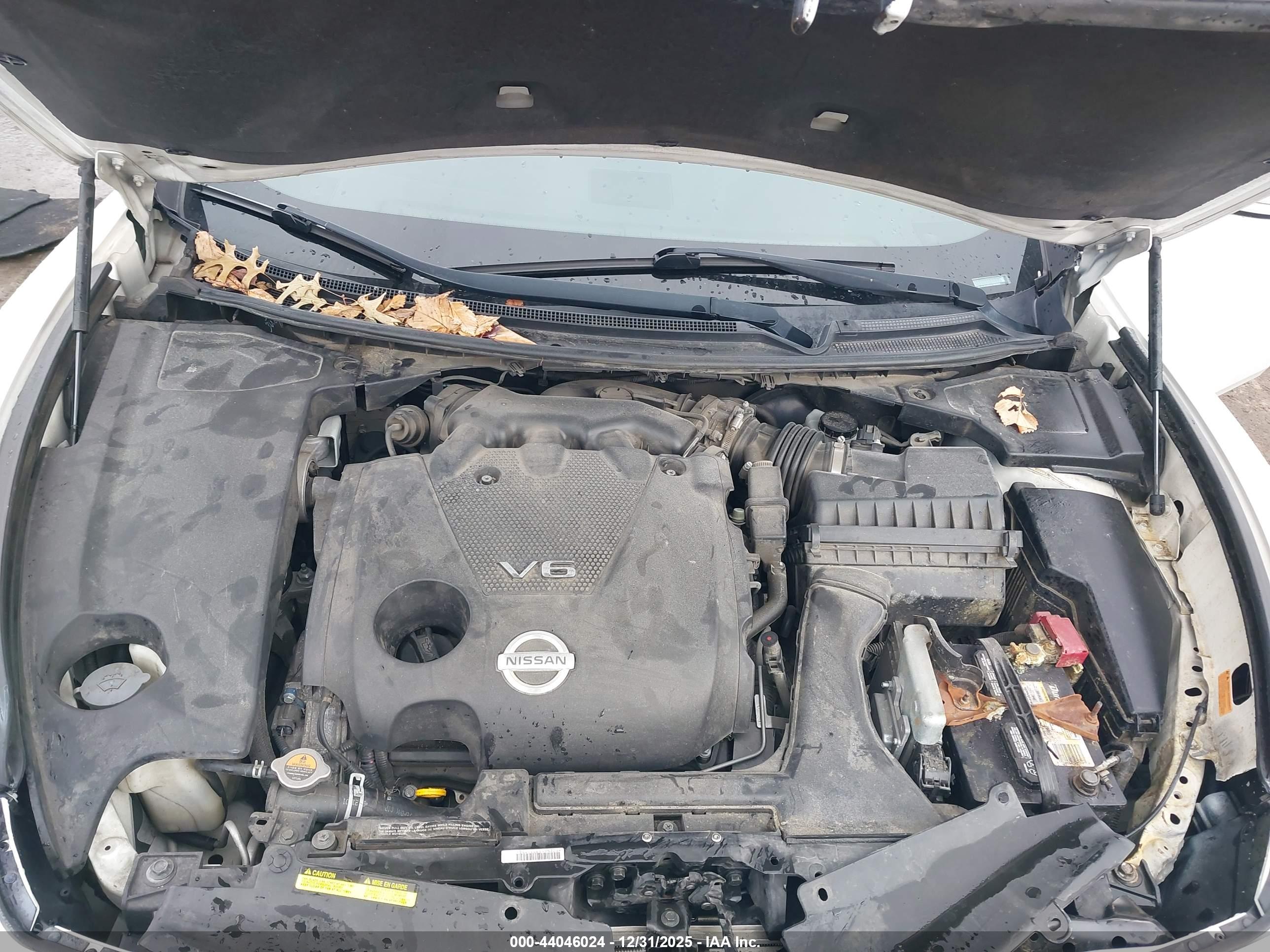 NISSAN MAXIMA image 10