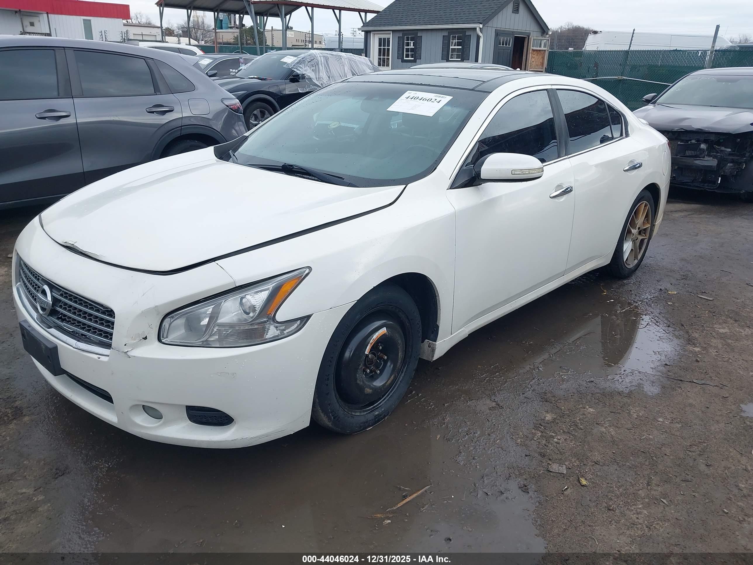 NISSAN MAXIMA image 2