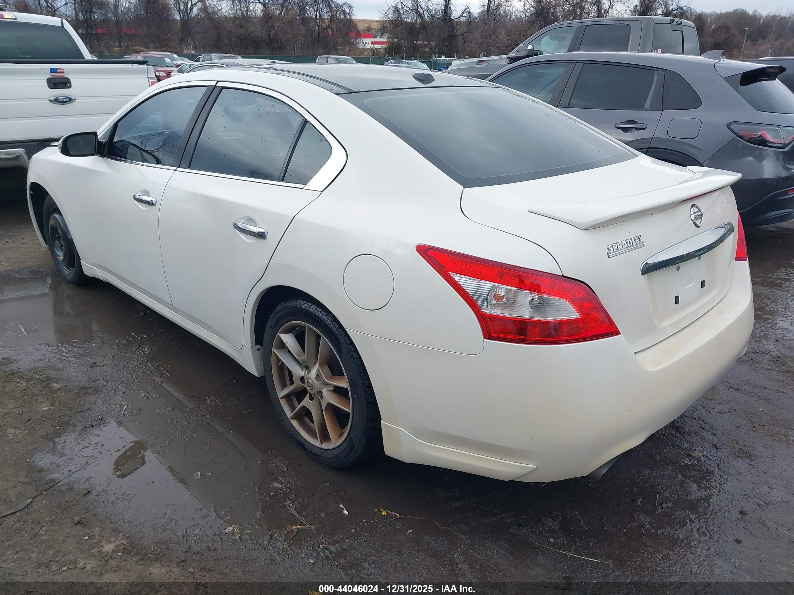 NISSAN MAXIMA image 3