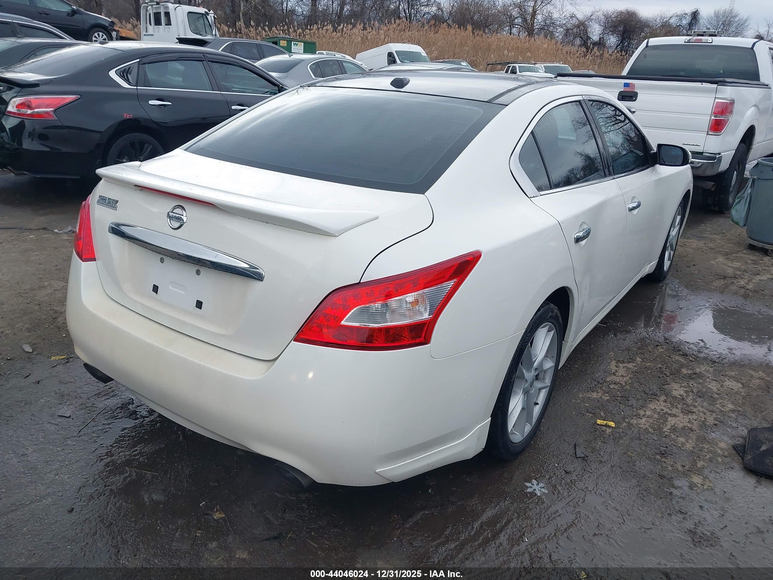 NISSAN MAXIMA image 4