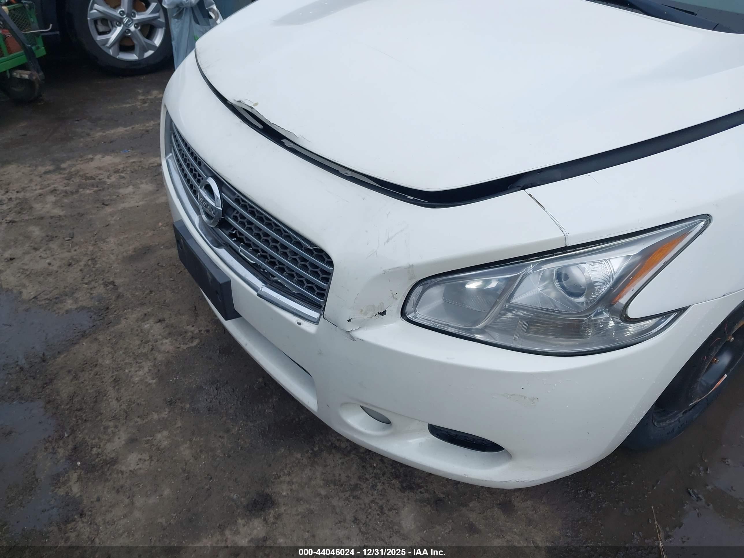 NISSAN MAXIMA image 6
