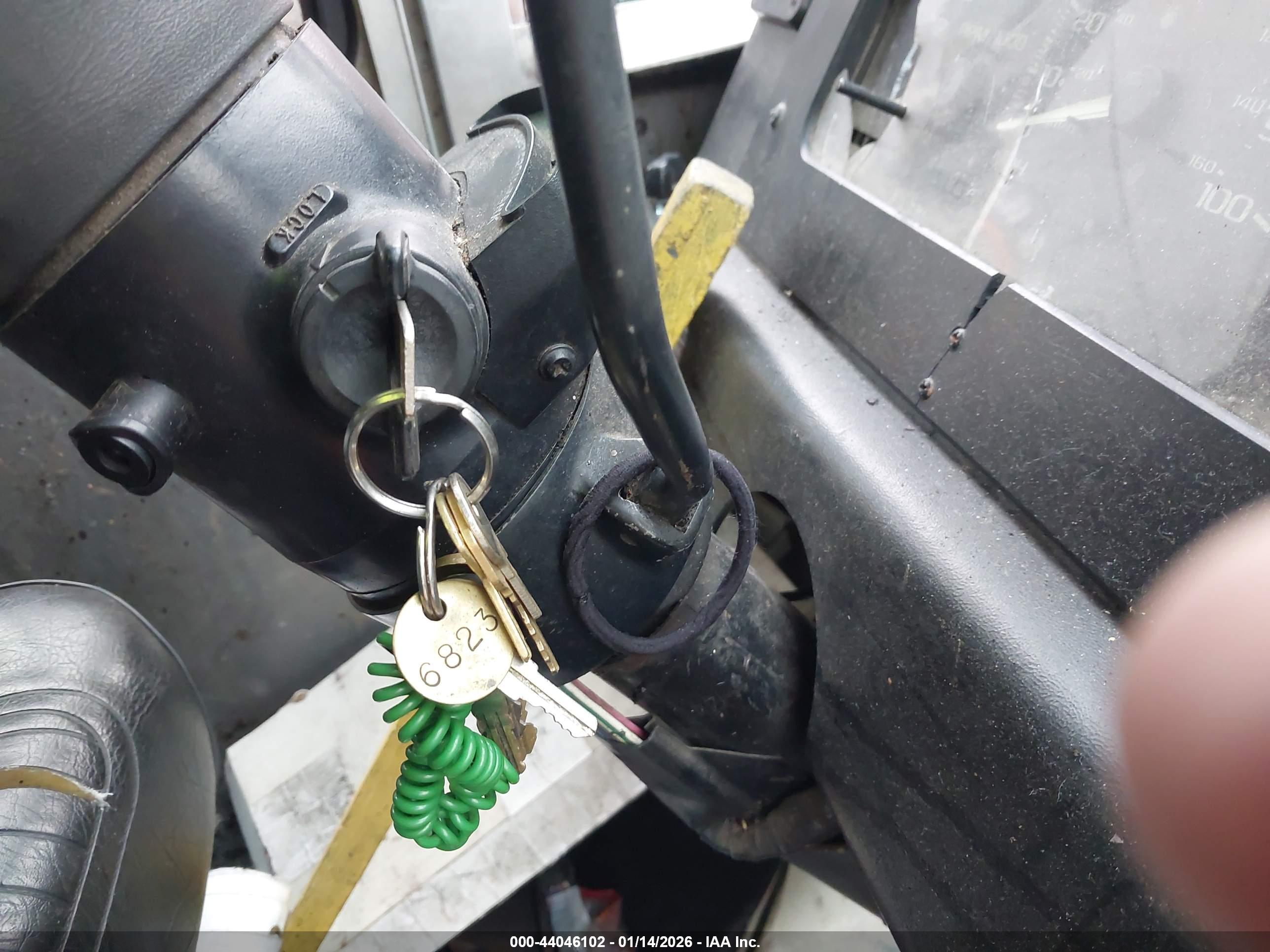 WORKHORSE CUSTOM image 11