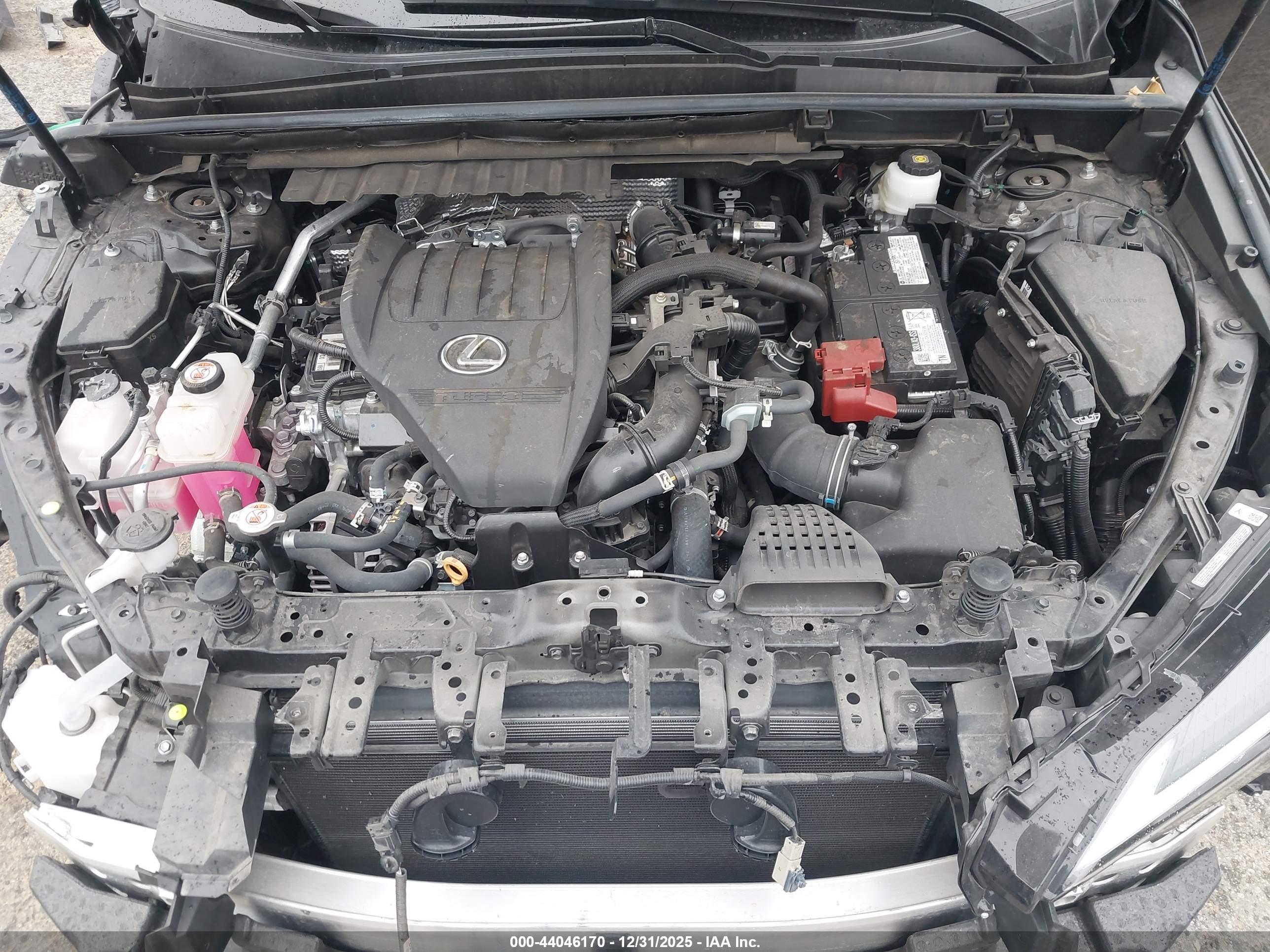 LEXUS NX image 10
