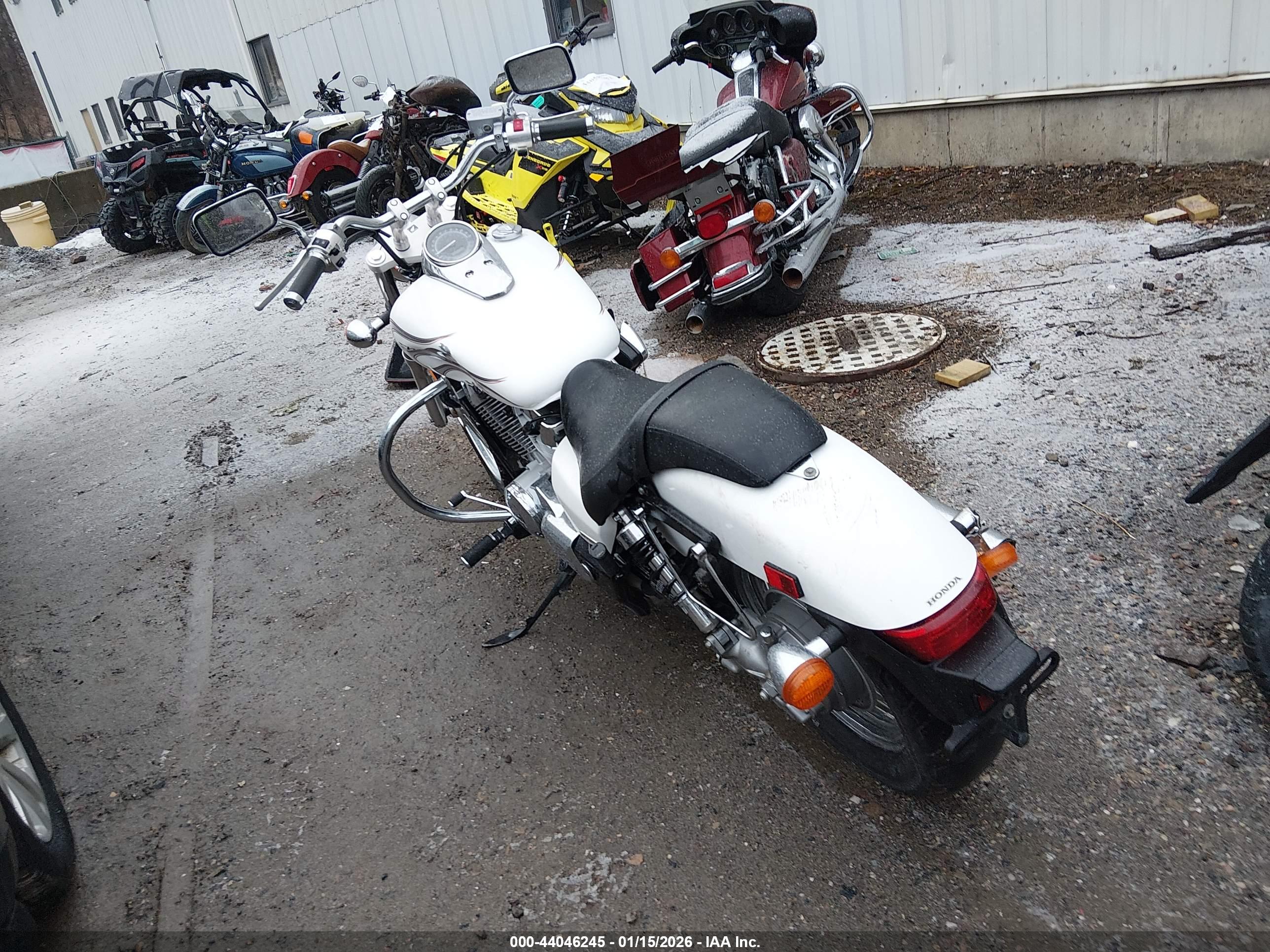 HONDA VT750 image 3
