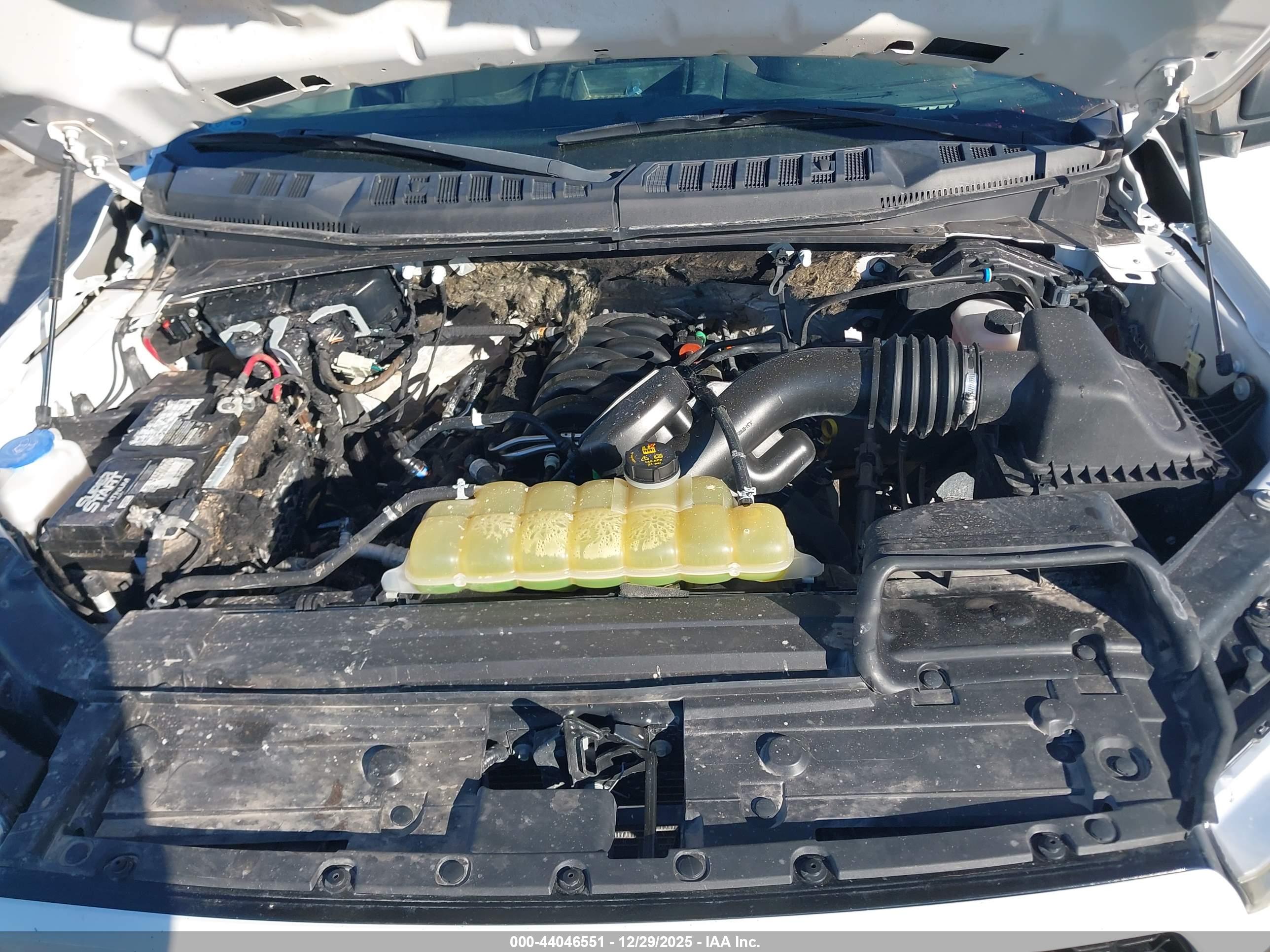 FORD F-150 image 10
