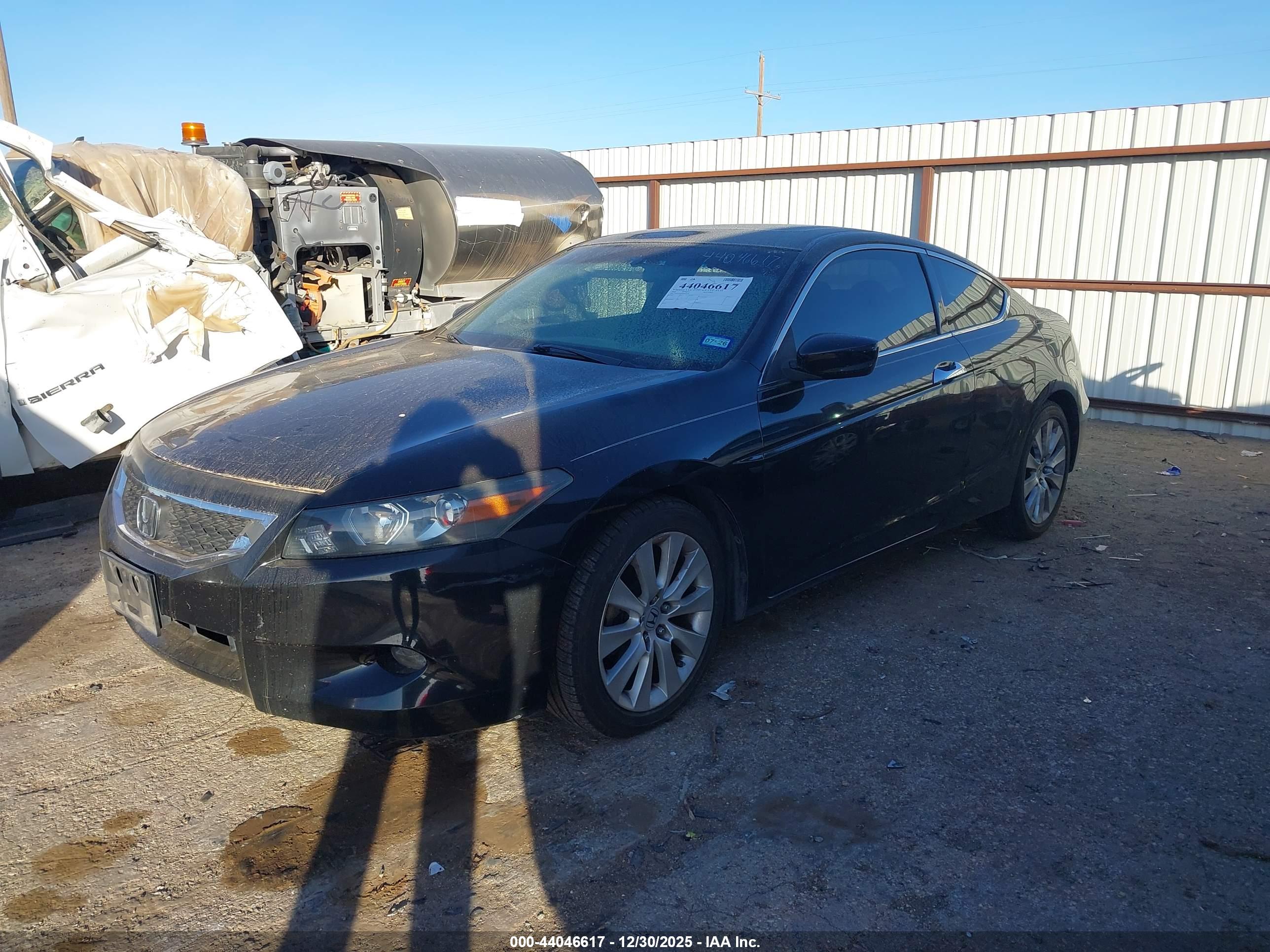 HONDA ACCORD image 2