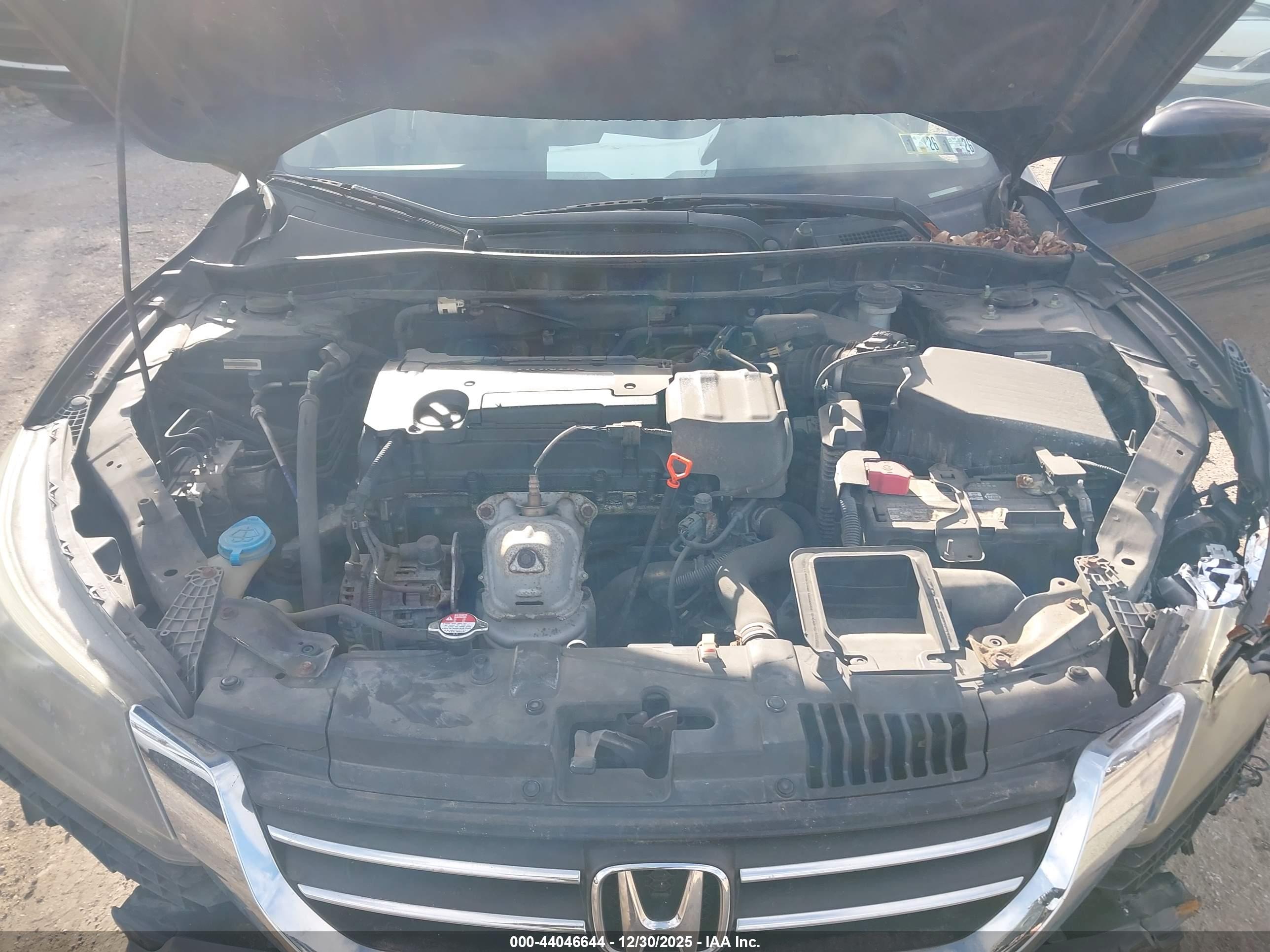 HONDA ACCORD image 10