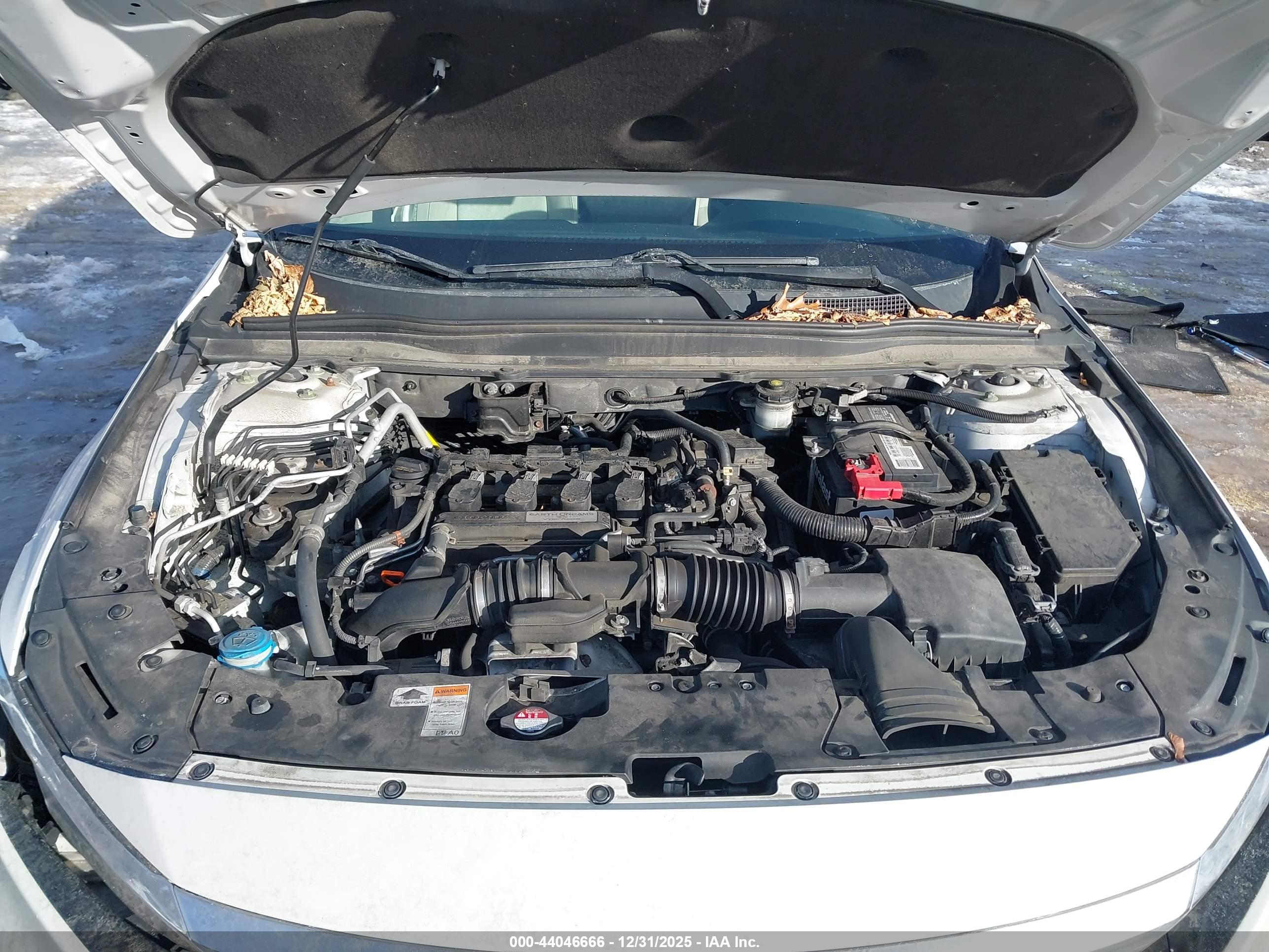 HONDA ACCORD image 10