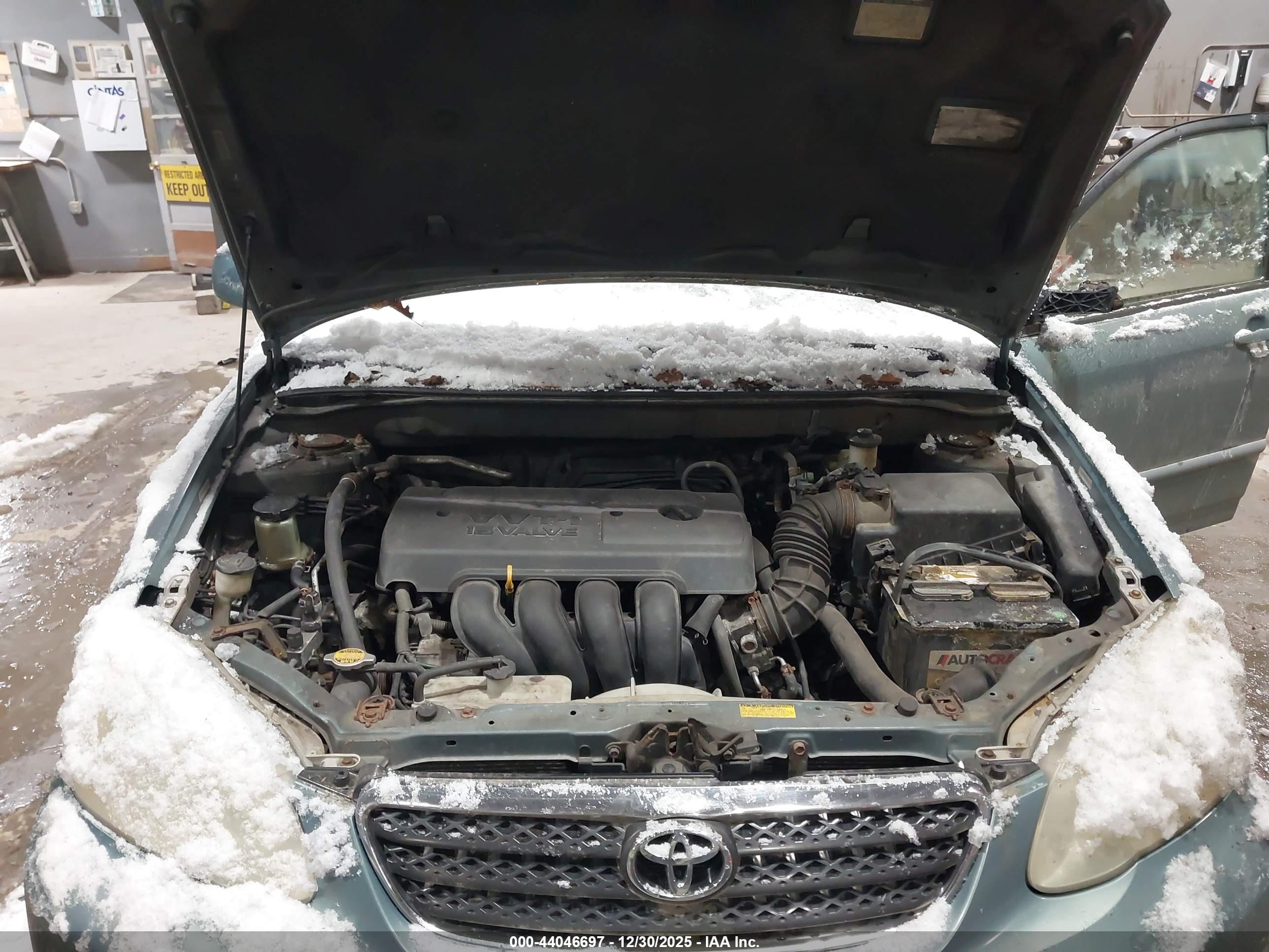 TOYOTA COROLLA image 10