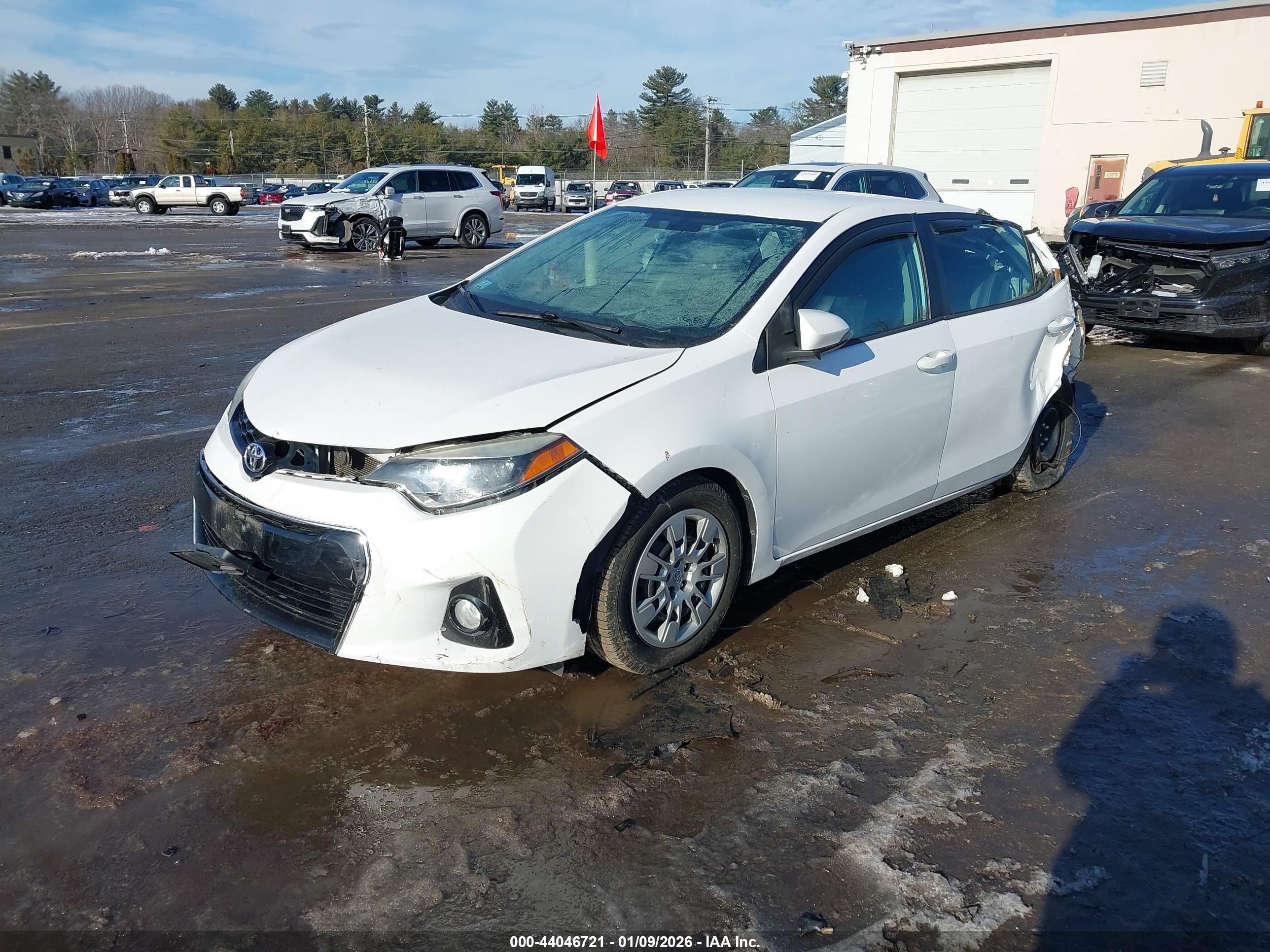 TOYOTA COROLLA image 2