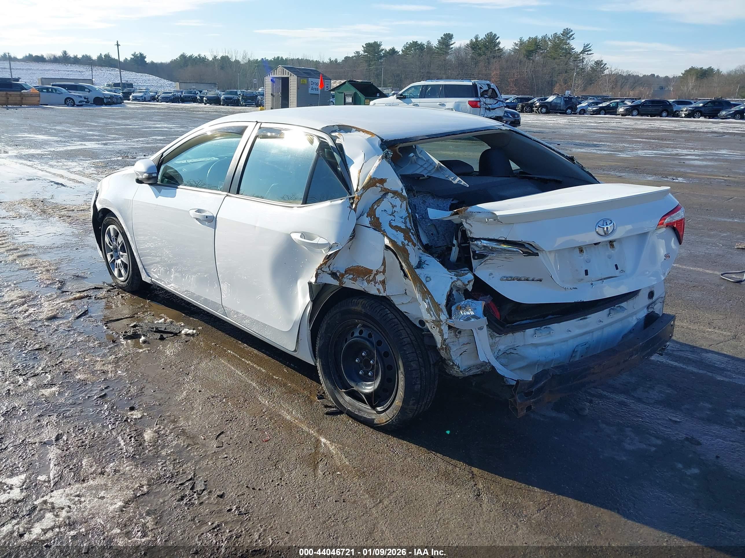 TOYOTA COROLLA image 3