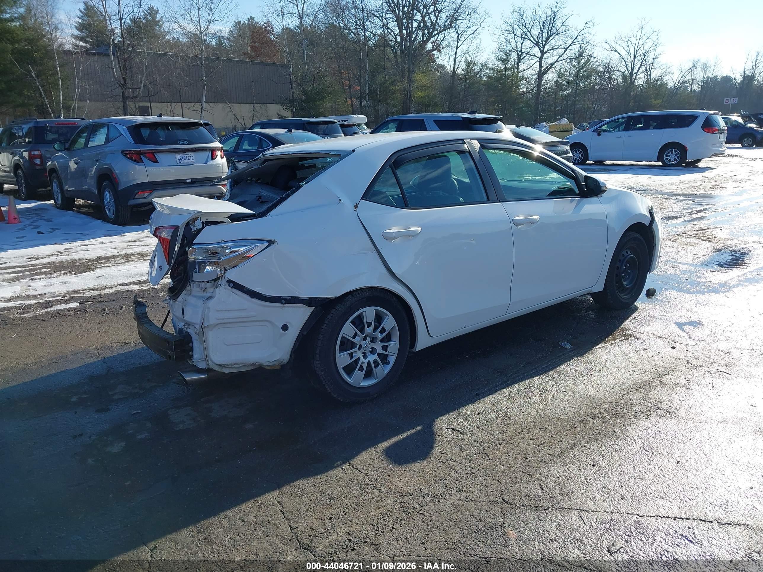 TOYOTA COROLLA image 4