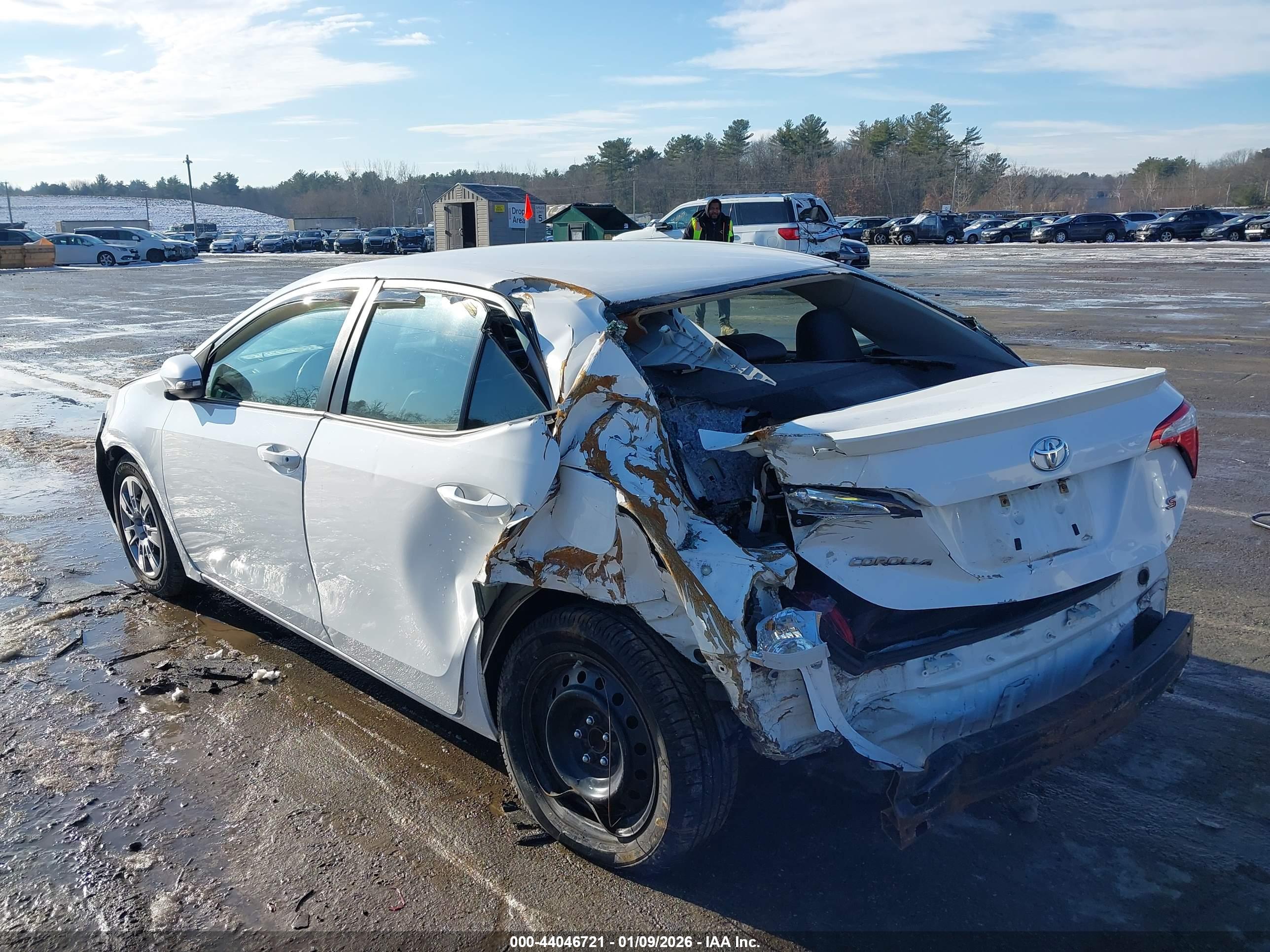 TOYOTA COROLLA image 6