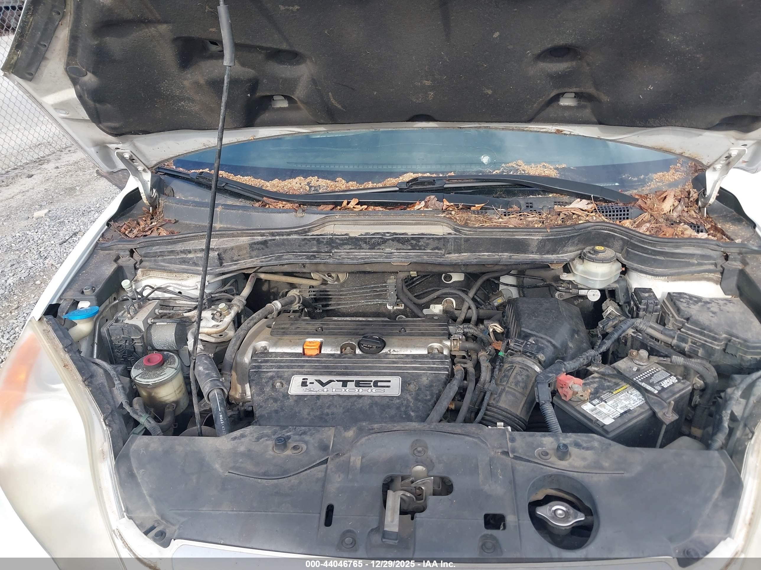 HONDA CR-V image 10