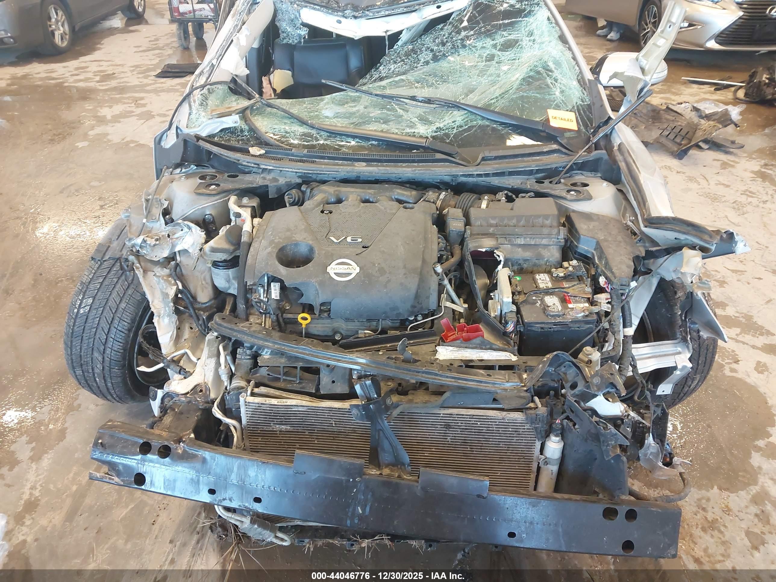 NISSAN MAXIMA image 10