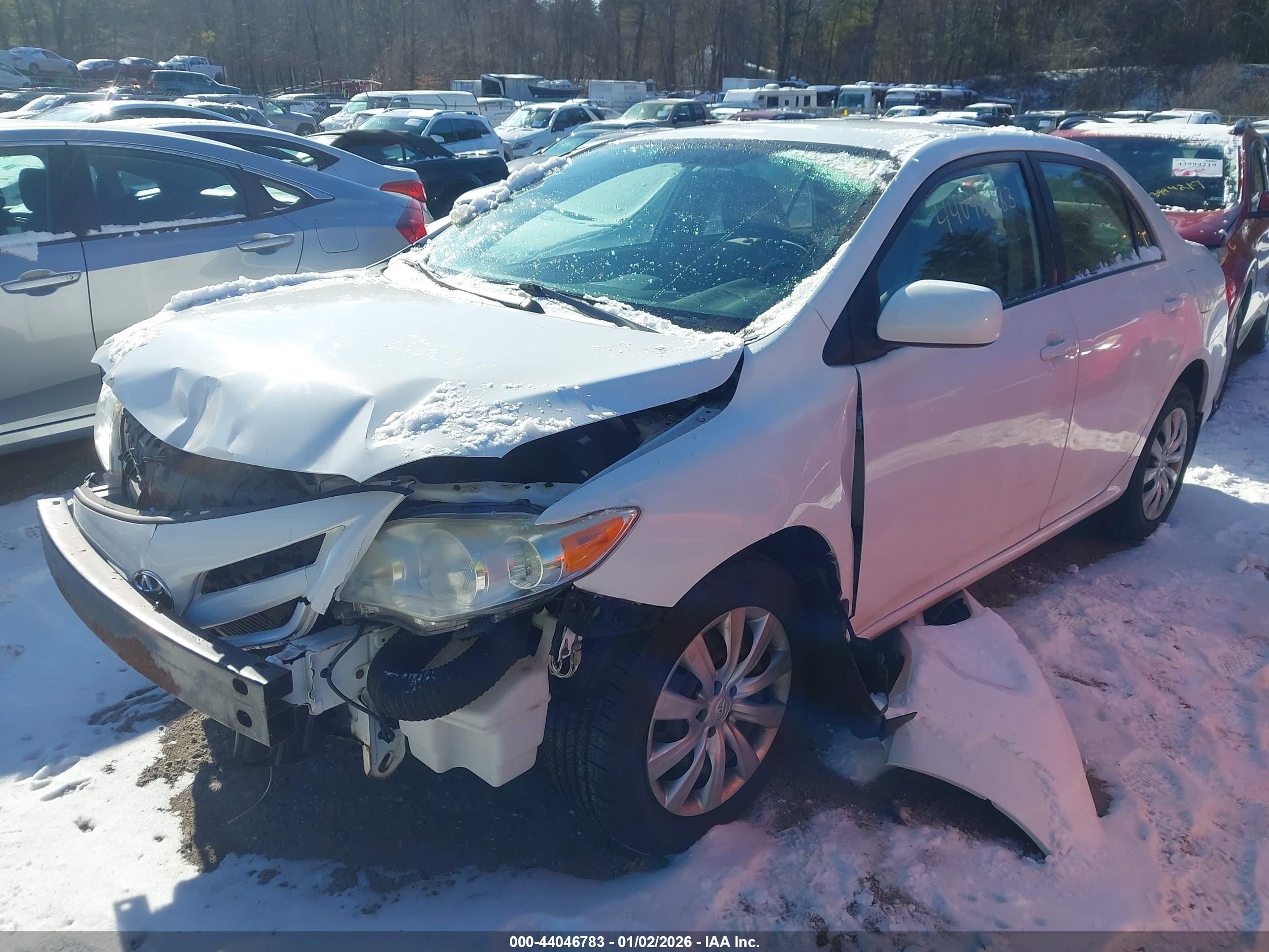 TOYOTA COROLLA image 2