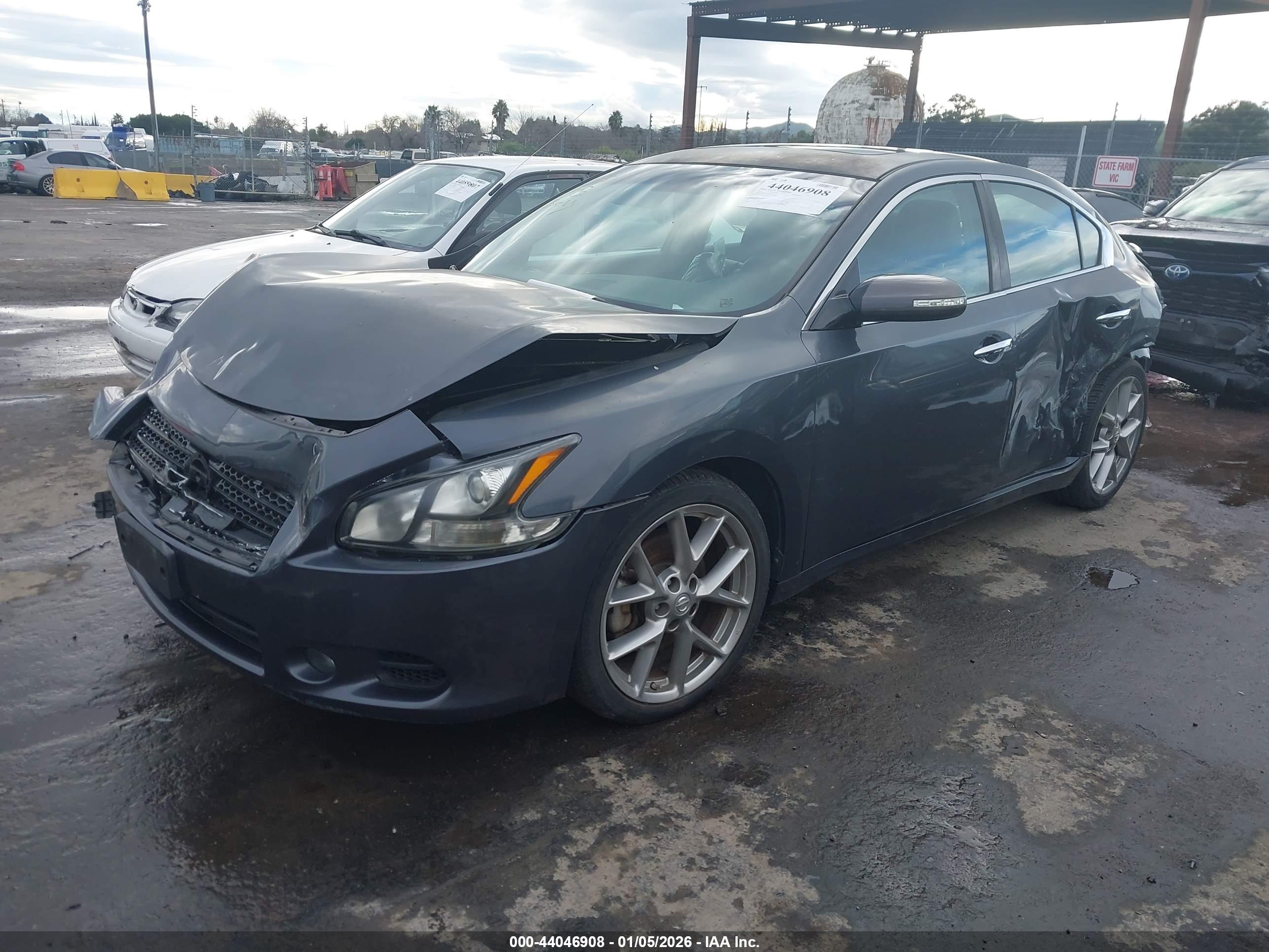 NISSAN MAXIMA image 2