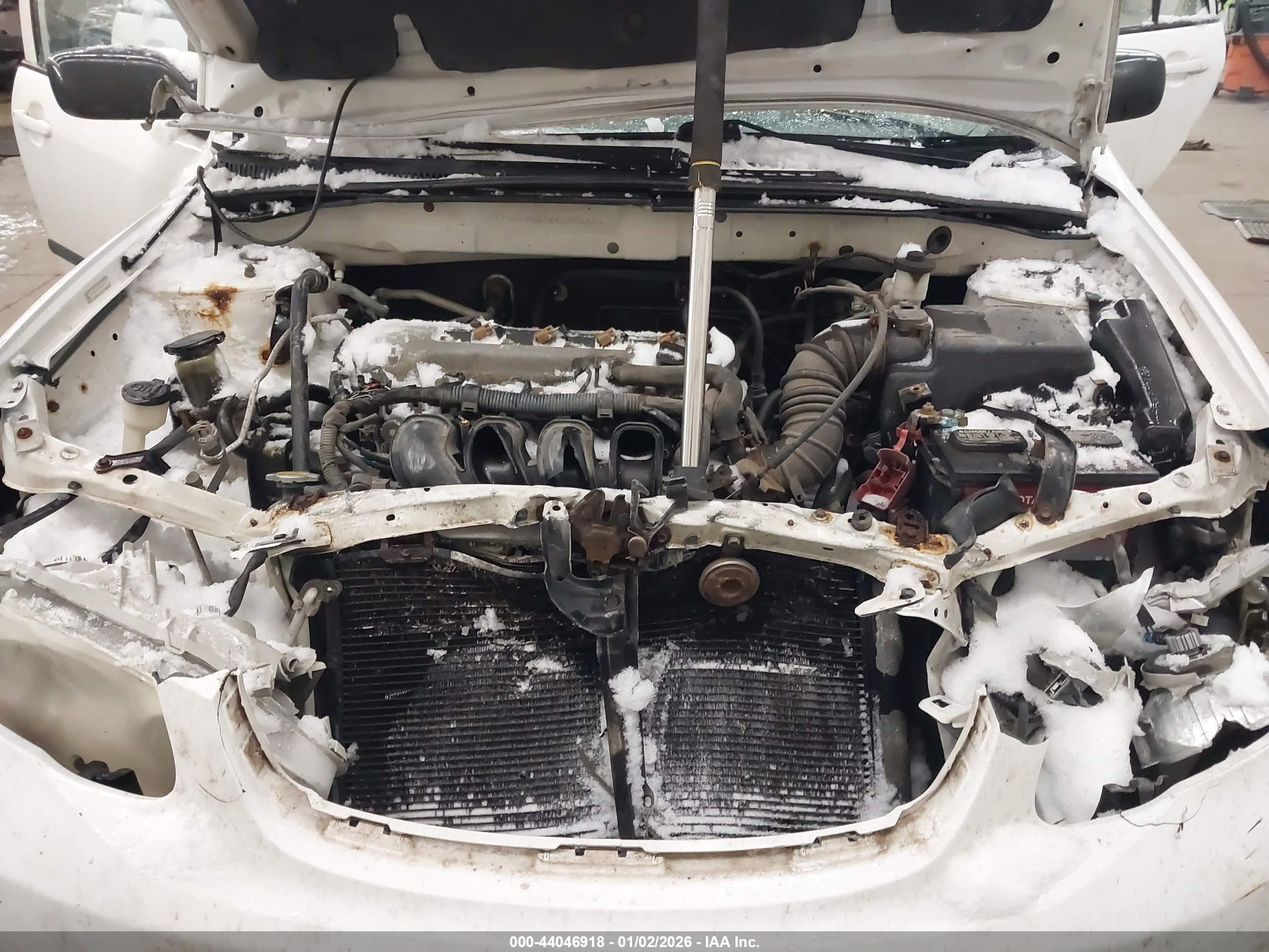 TOYOTA COROLLA image 10