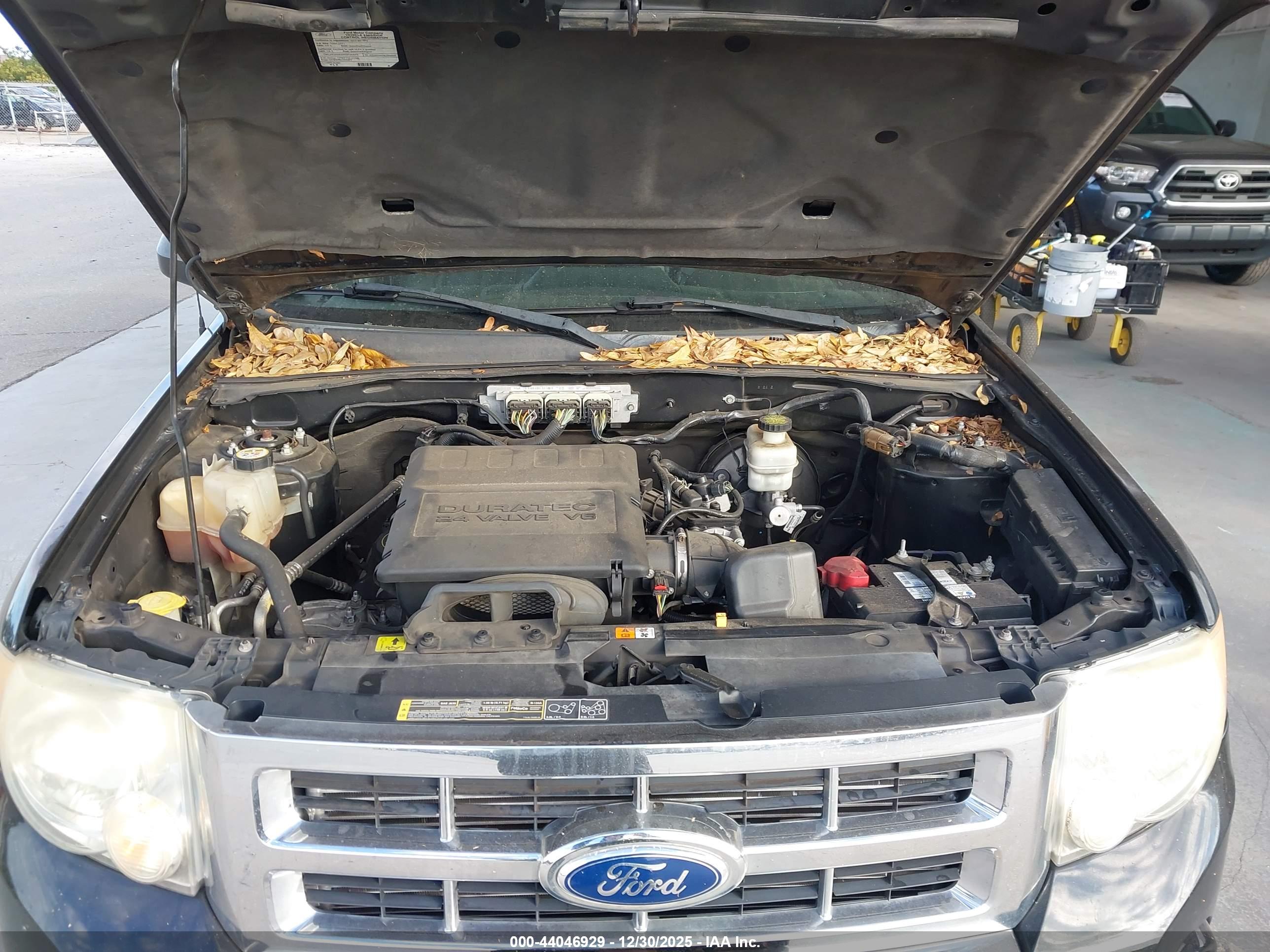 FORD ESCAPE image 10