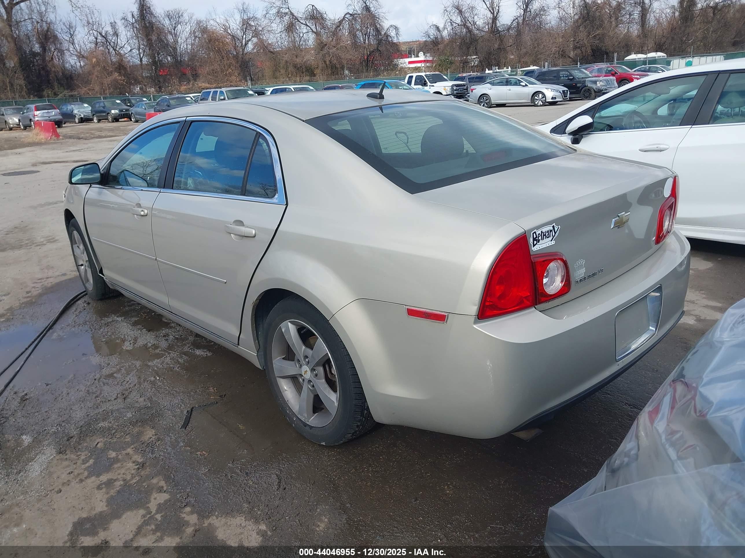 CHEVROLET MALIBU image 3
