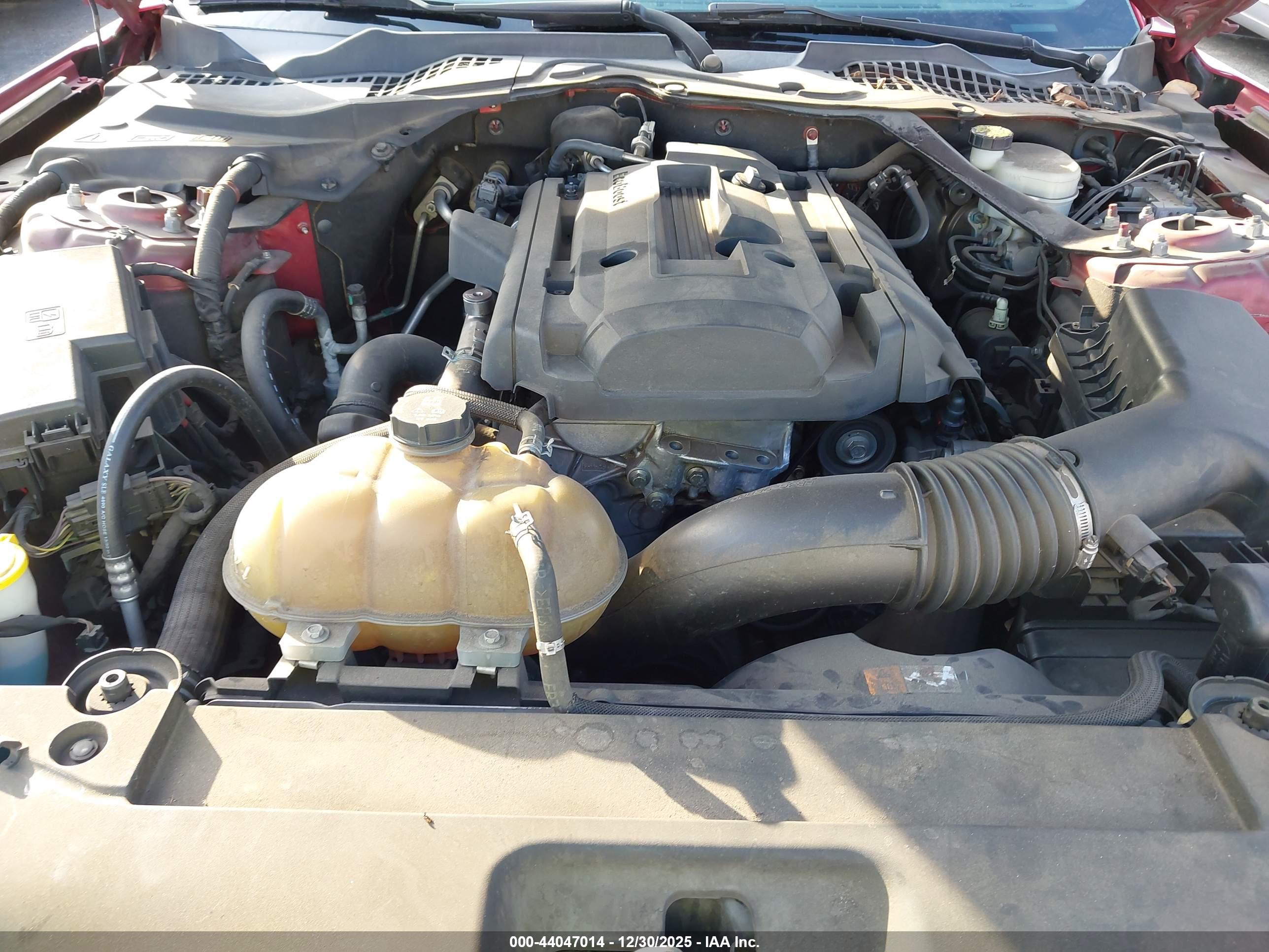 FORD MUSTANG image 10