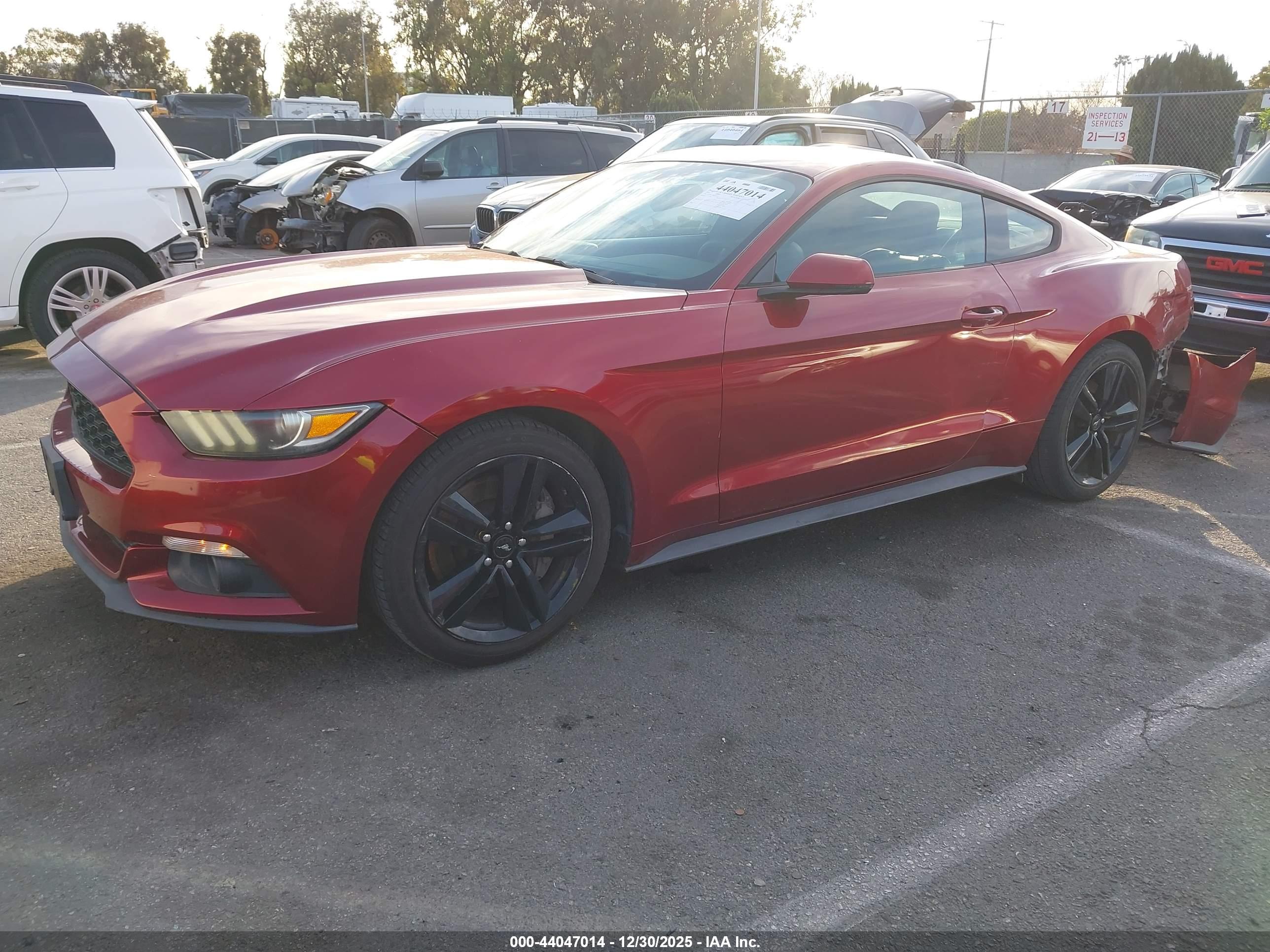 FORD MUSTANG image 2