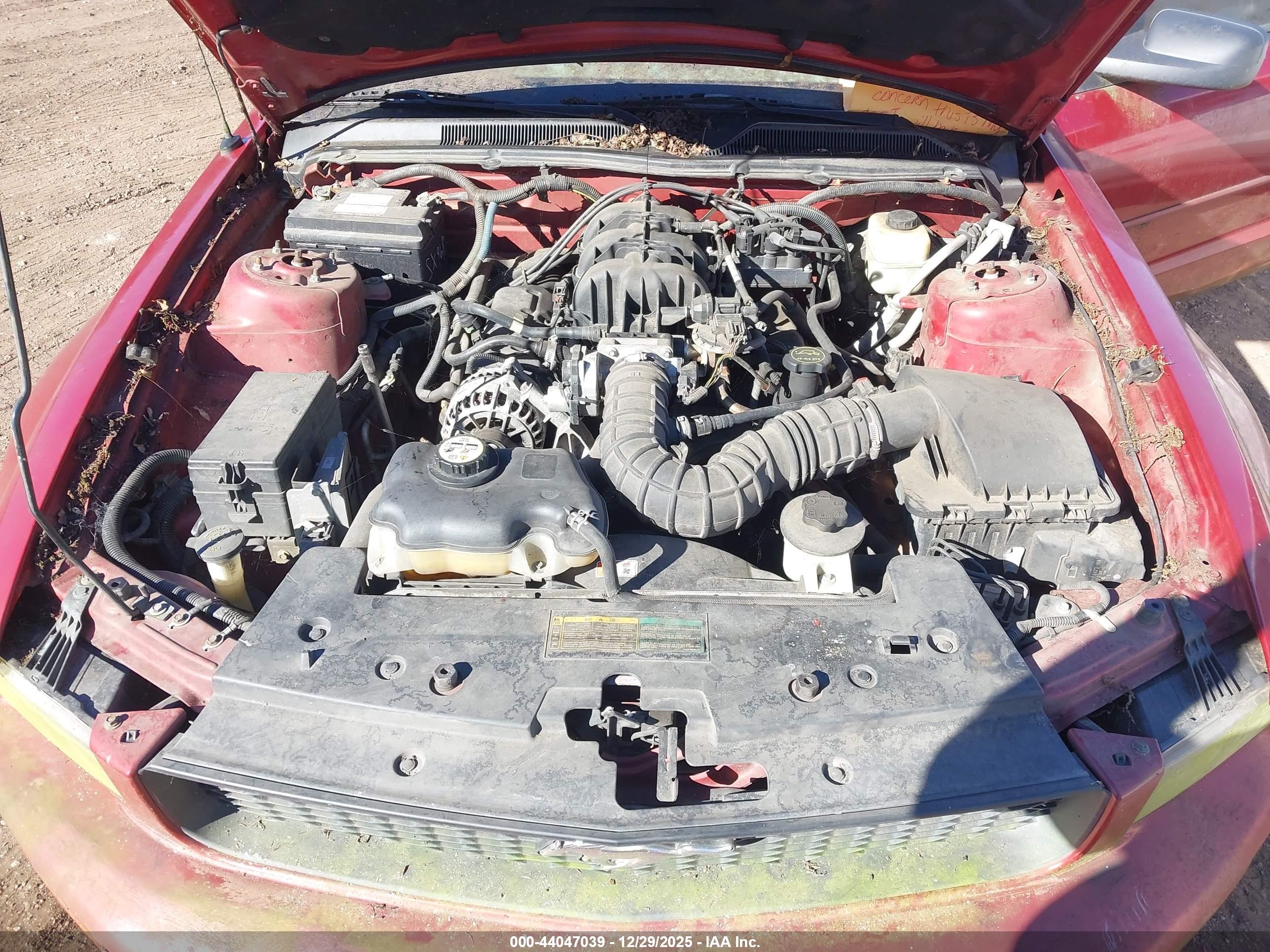 FORD MUSTANG image 10