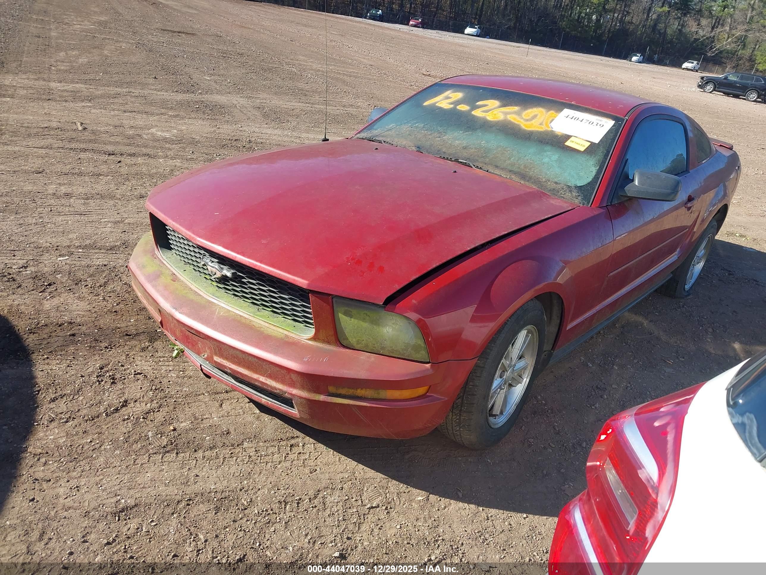 FORD MUSTANG image 2