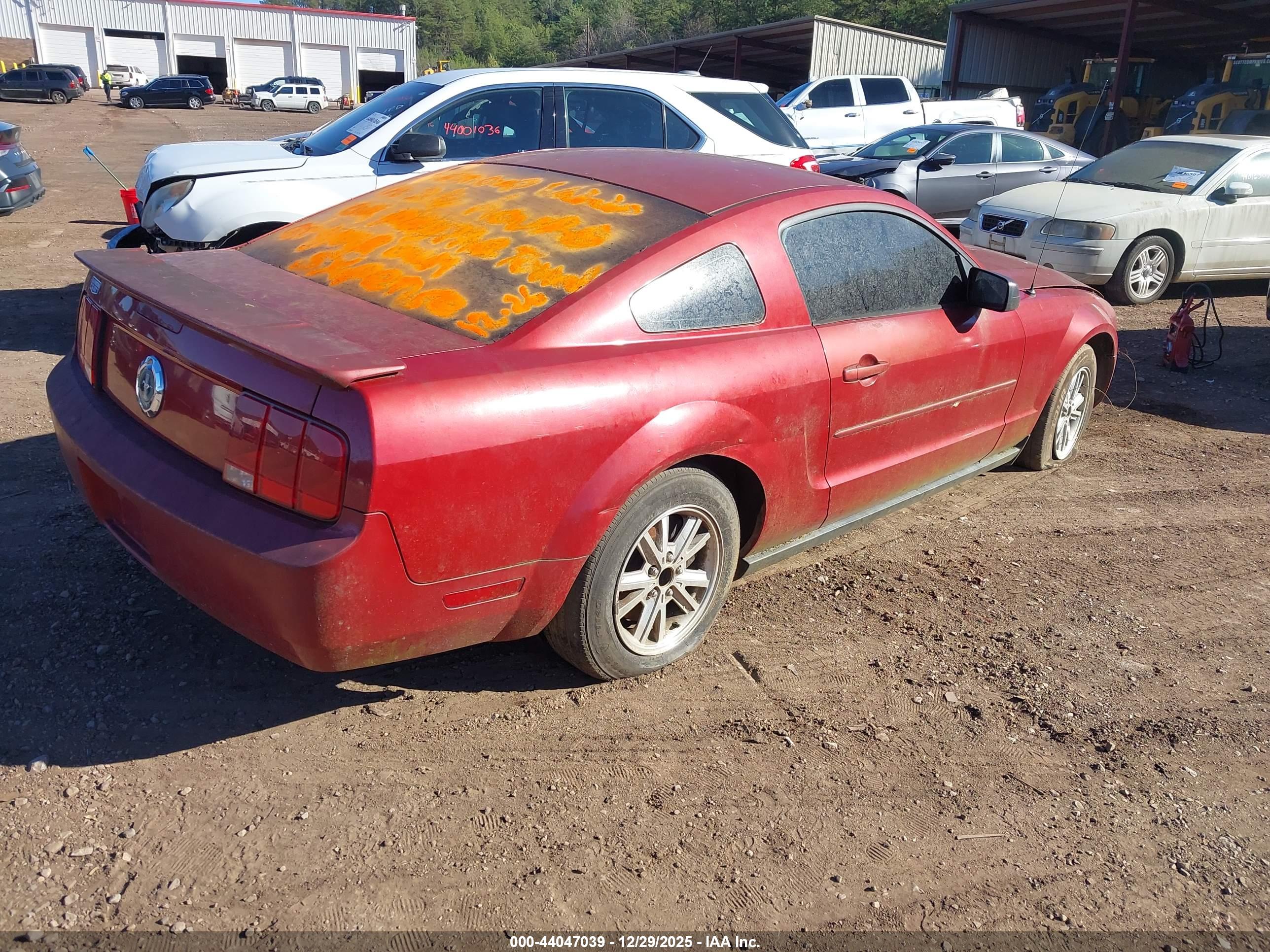 FORD MUSTANG image 4