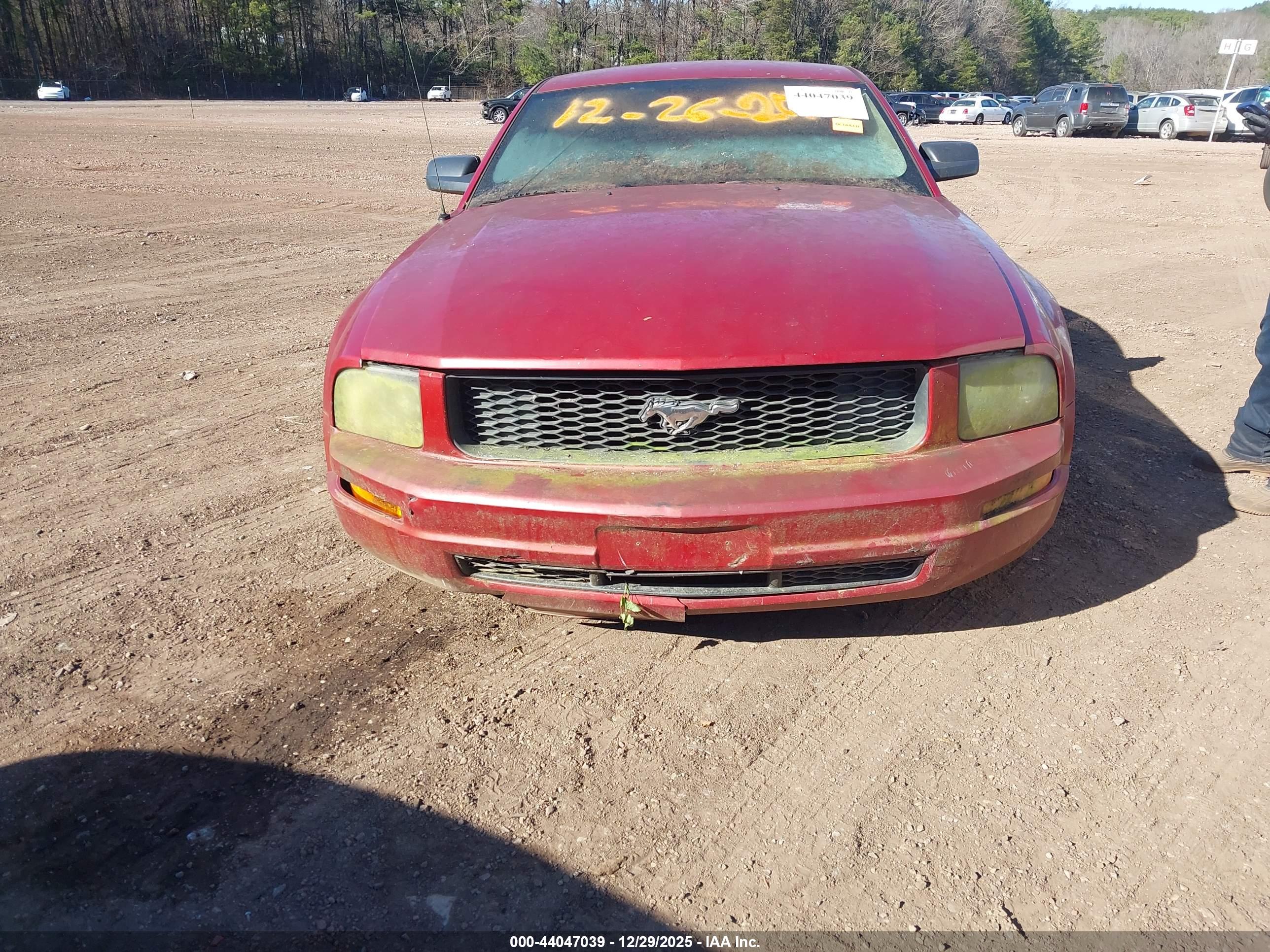 FORD MUSTANG image 6