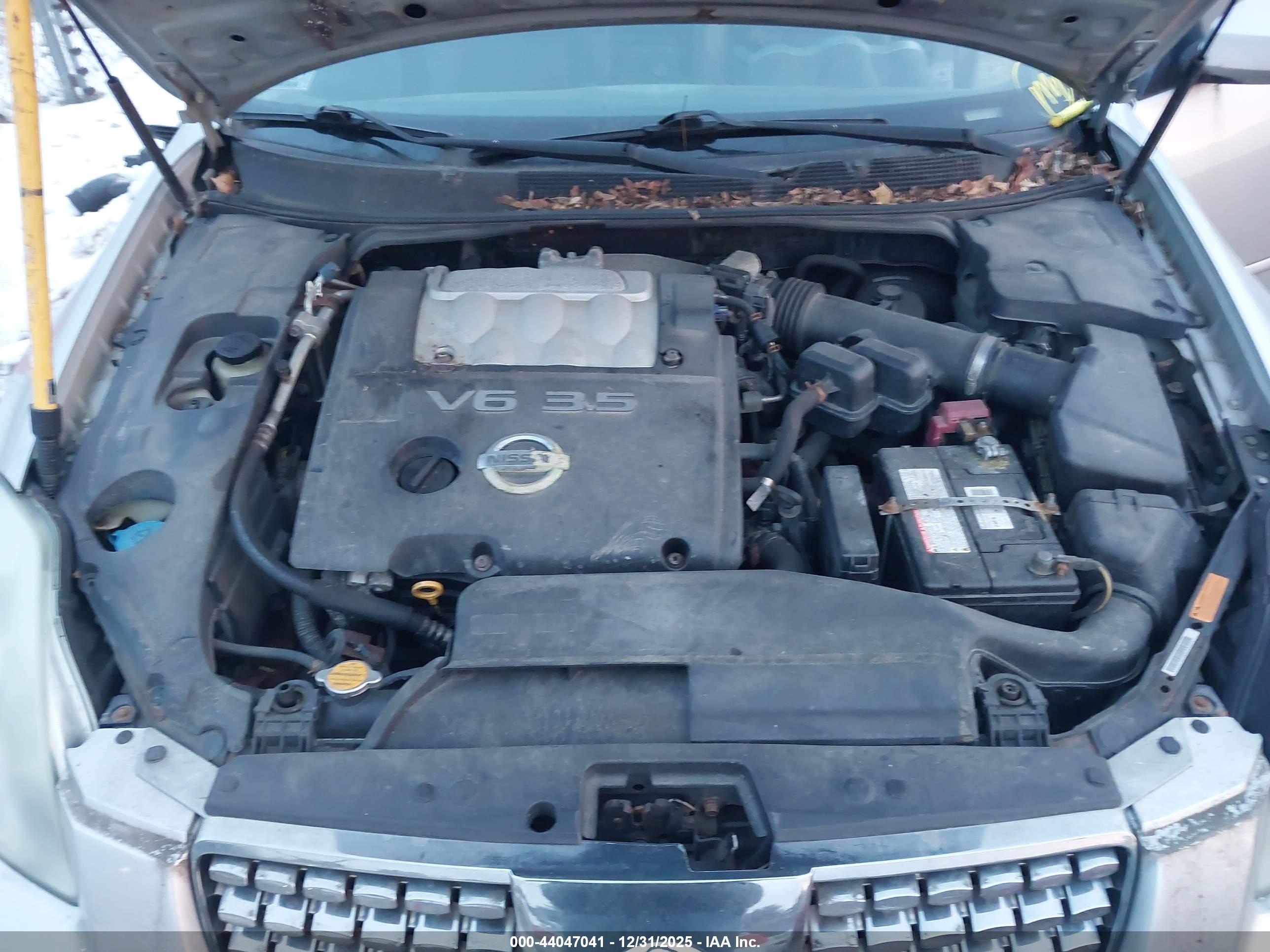 NISSAN MAXIMA image 10