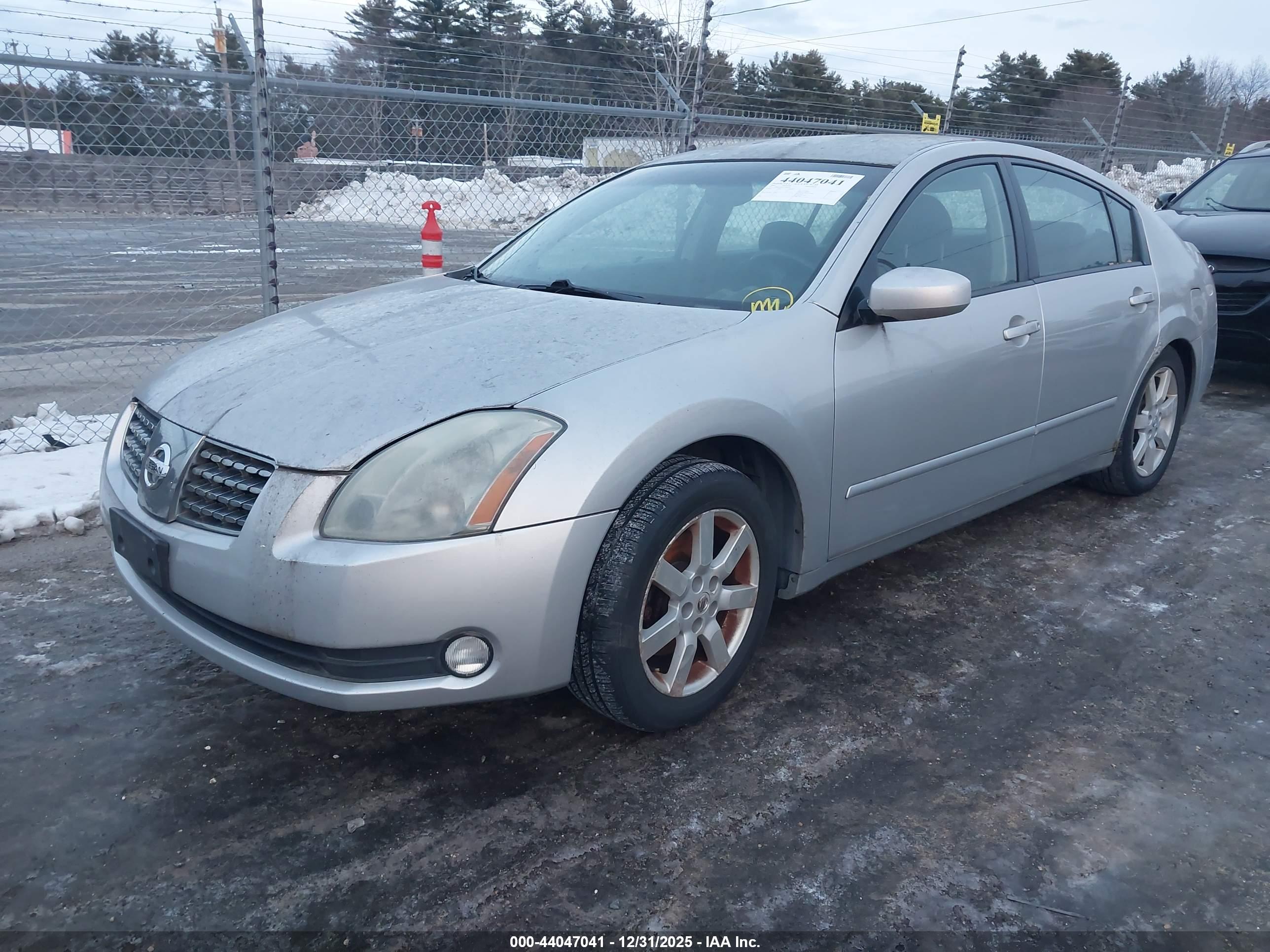NISSAN MAXIMA image 2