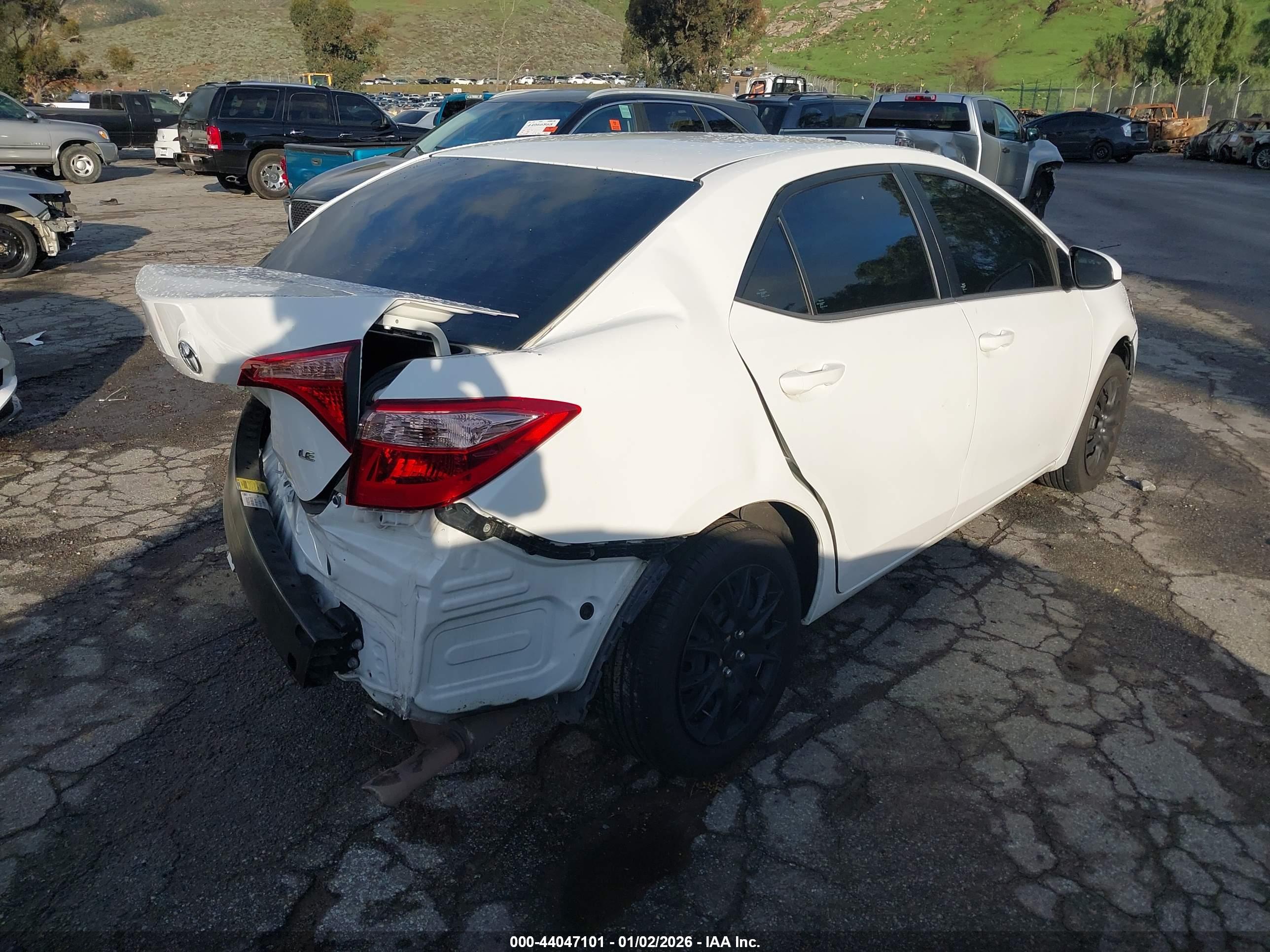 TOYOTA COROLLA image 4