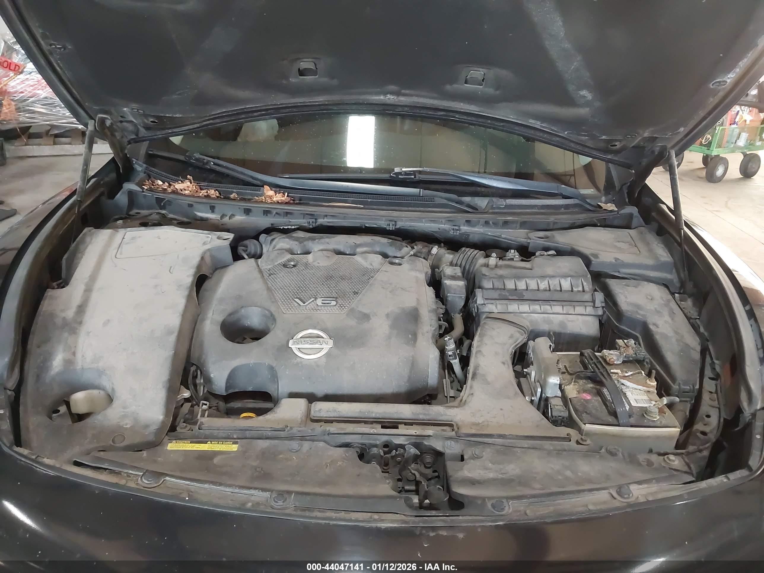 NISSAN MAXIMA image 10