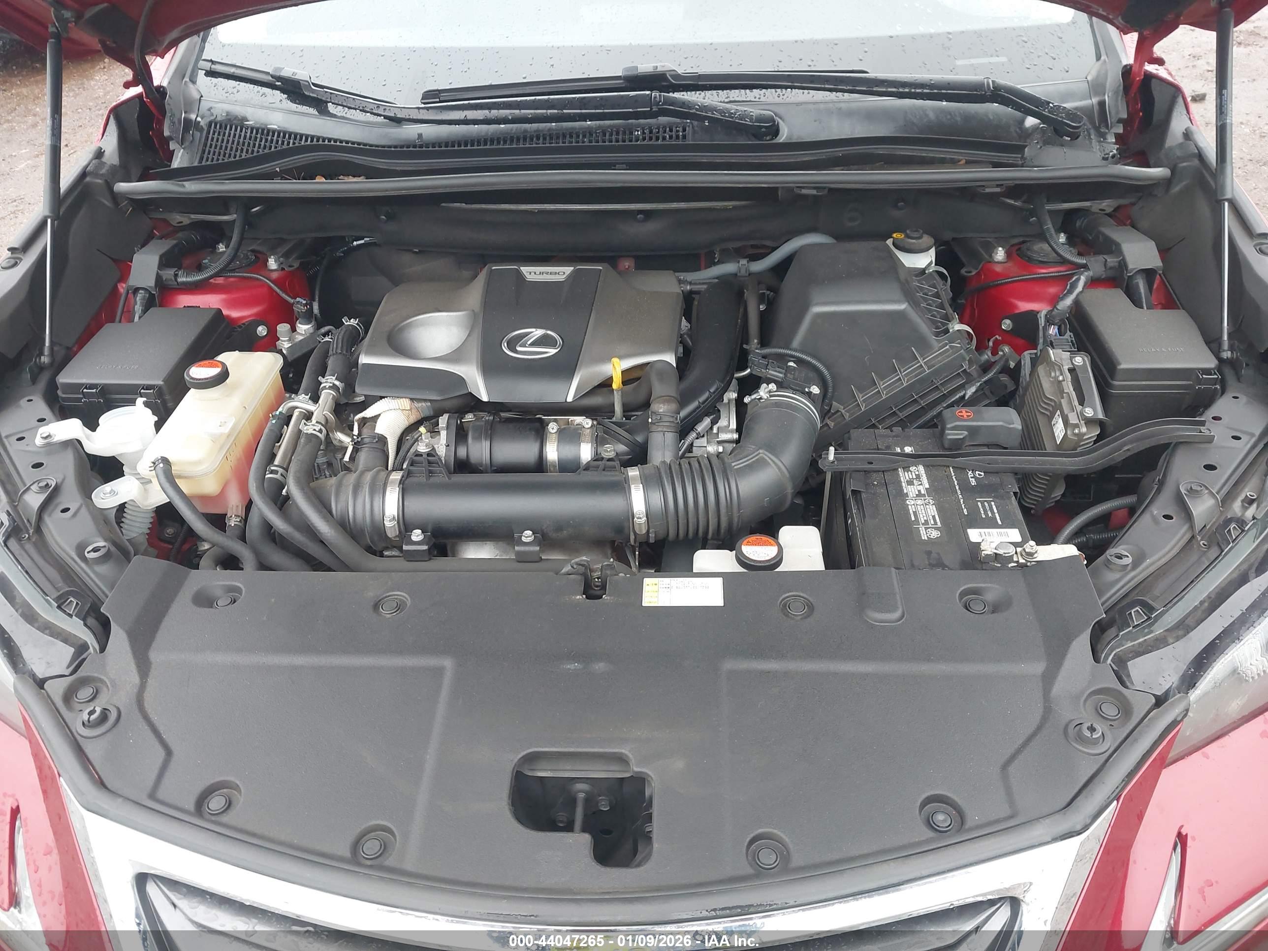 LEXUS NX image 10