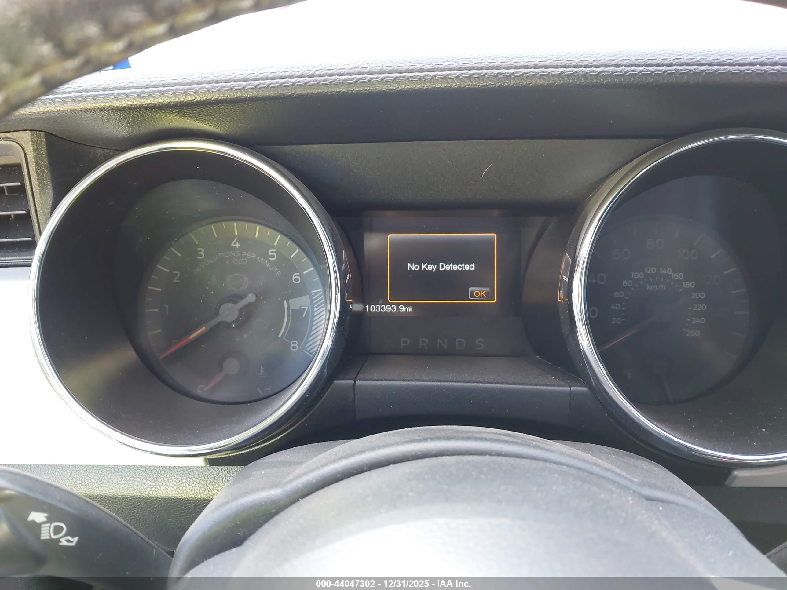 FORD MUSTANG image 7