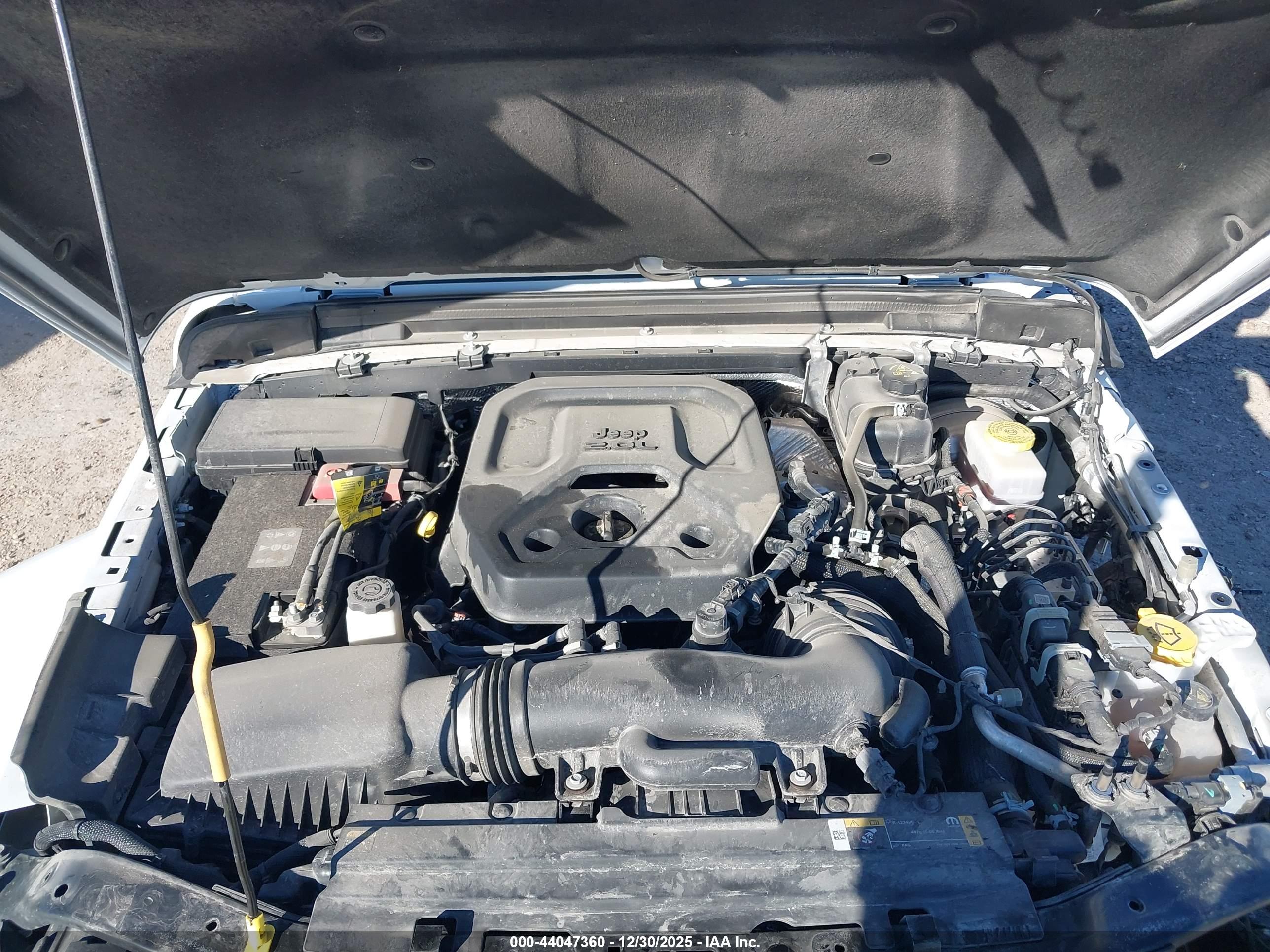 JEEP WRANGLER image 10
