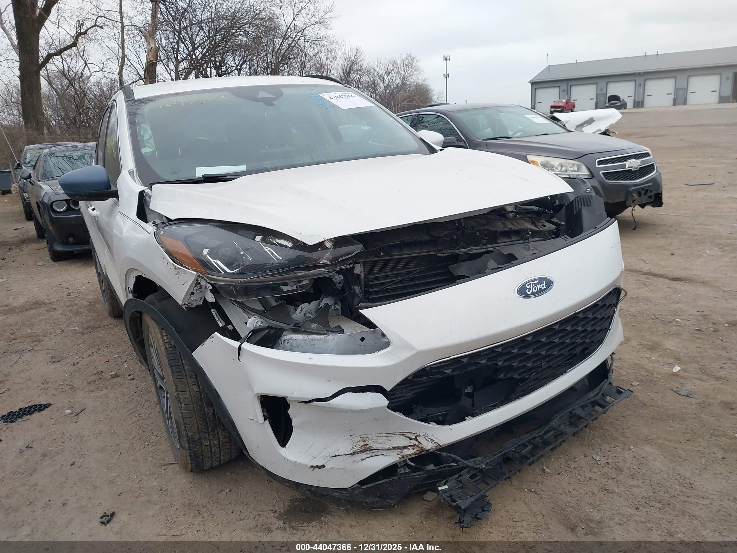 FORD ESCAPE image 6