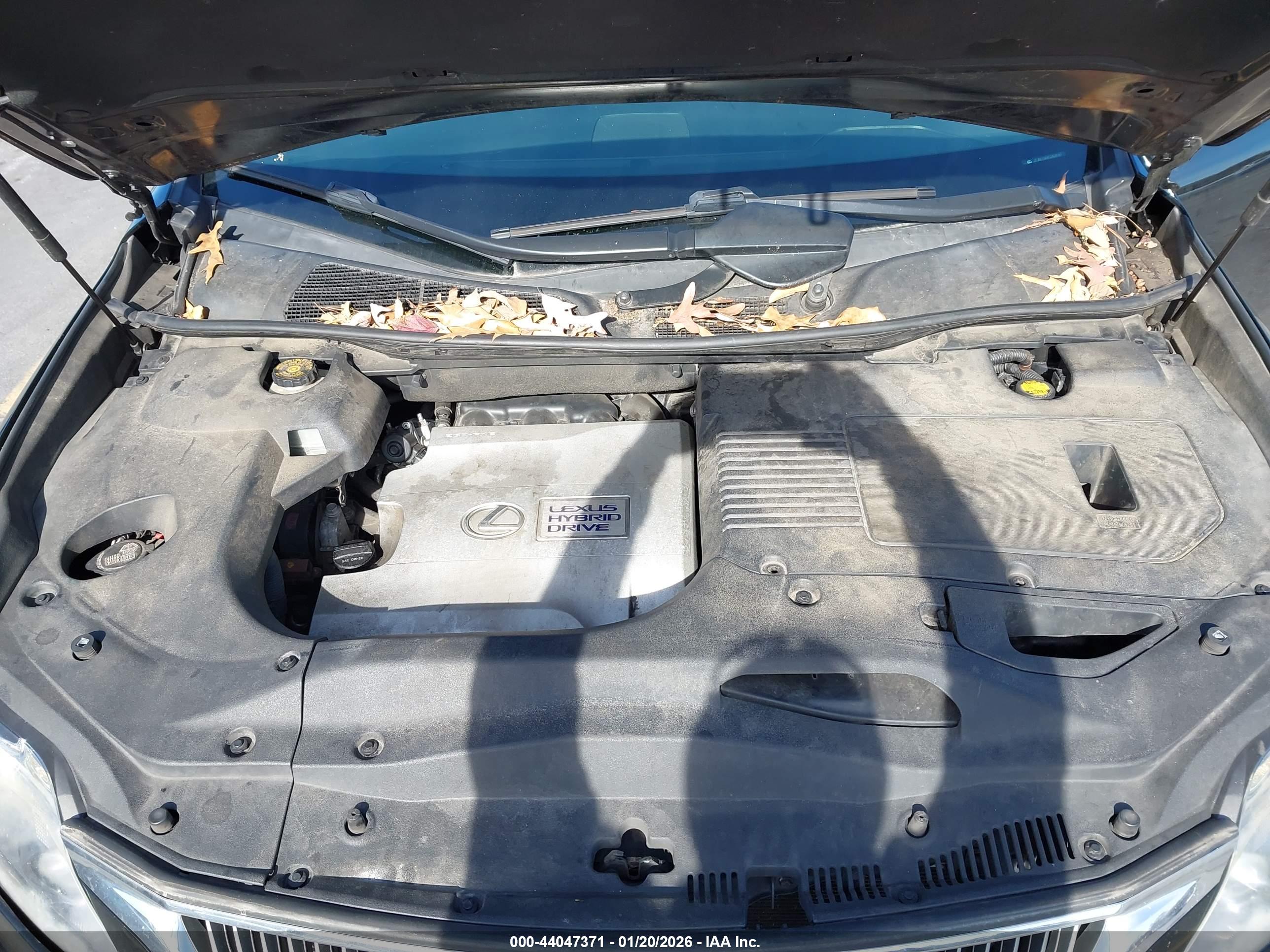 LEXUS RX image 10