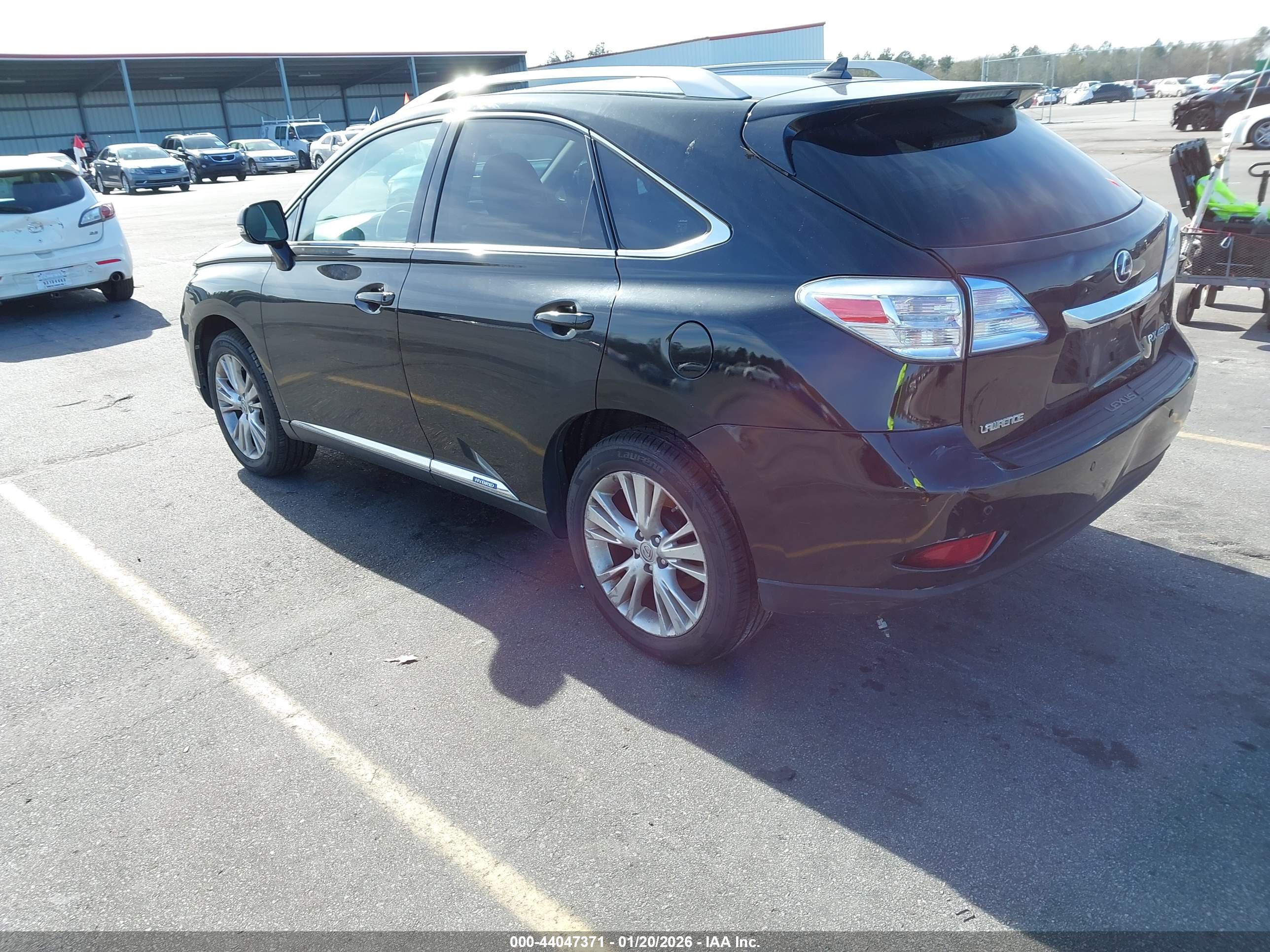 LEXUS RX image 3
