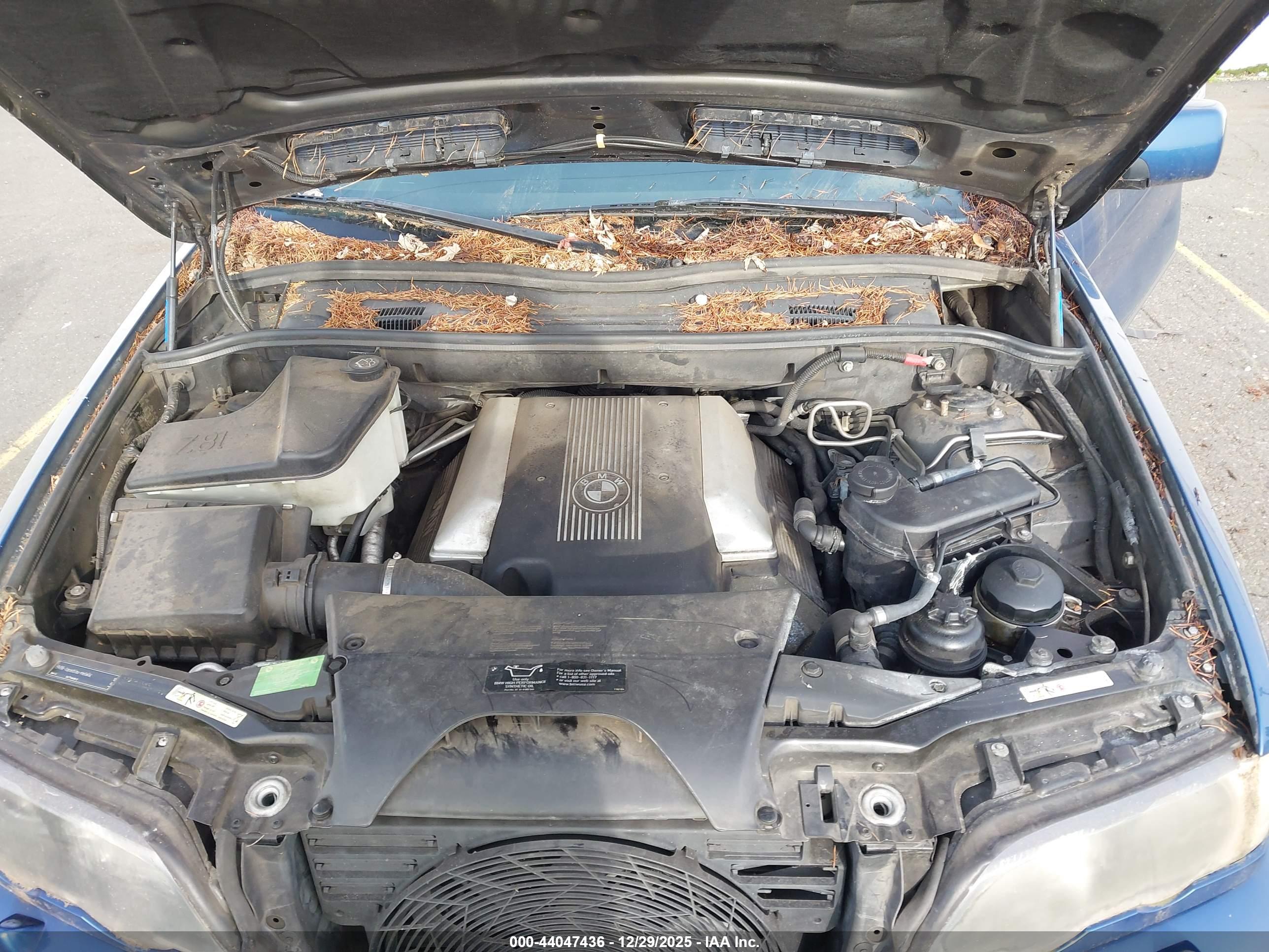 BMW X5 image 10