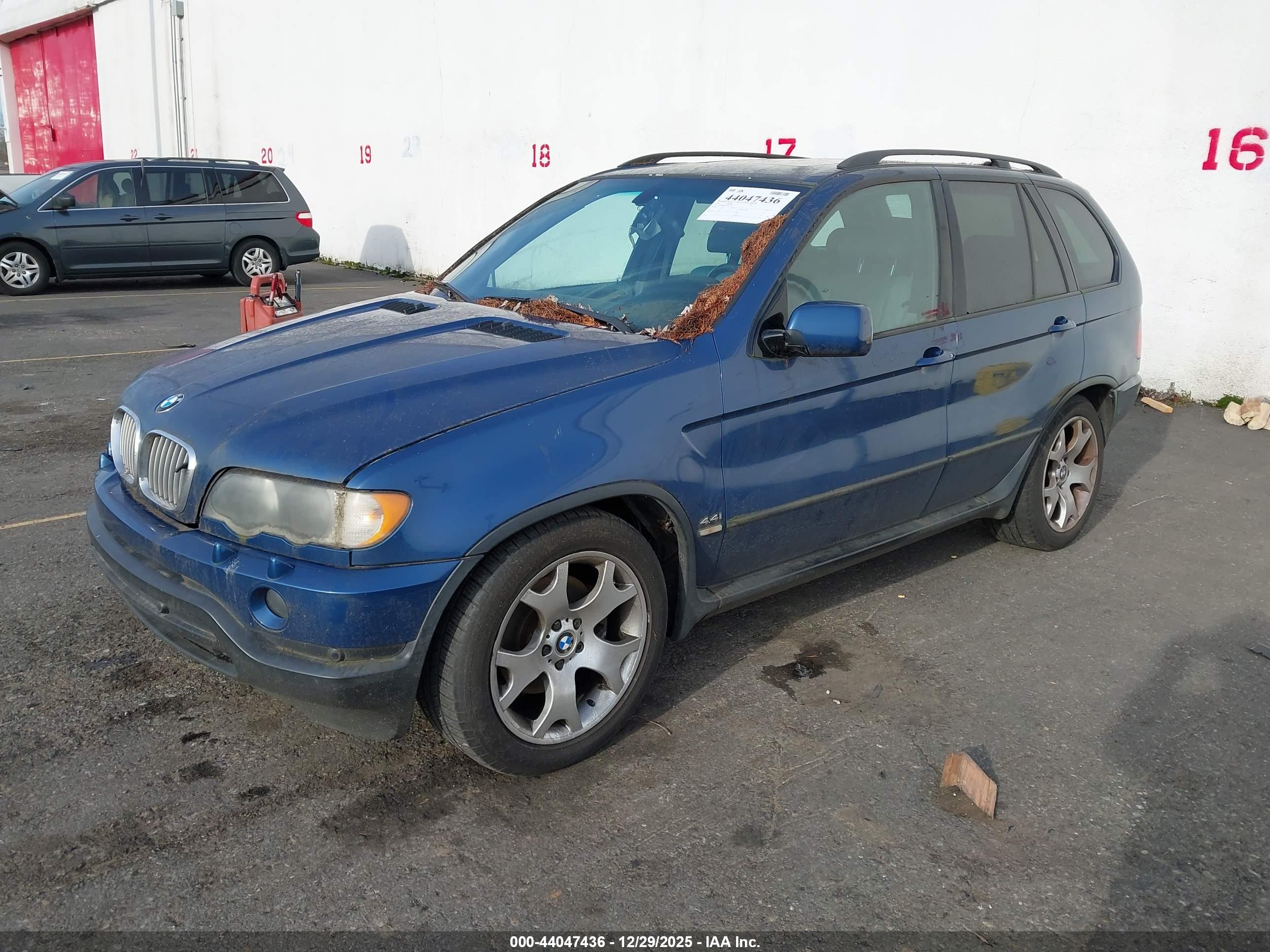 BMW X5 image 2