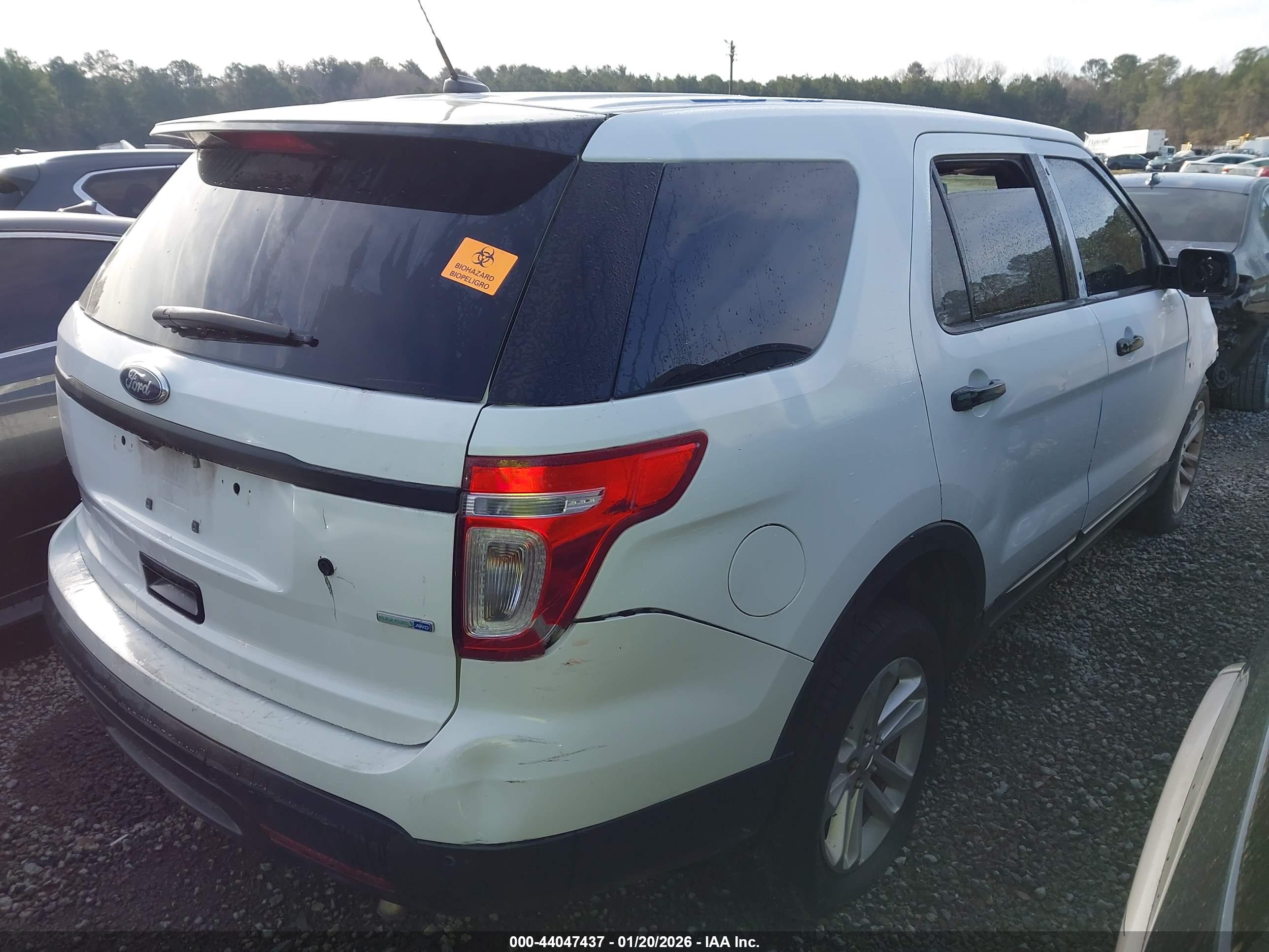 FORD UTILITY image 4